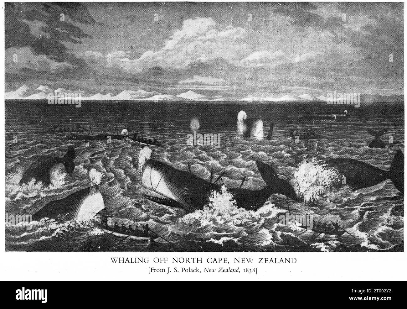 Demi-teinte d'hommes chassant les cachalots au large du Cap Nord, en Nouvelle-Zélande, dans les années 1830 Banque D'Images