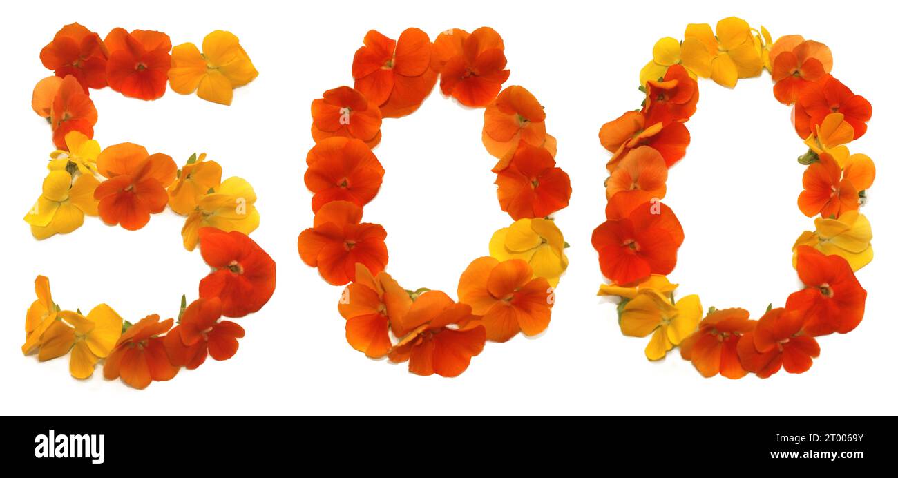Numéro 500 de vraies fleurs fraîchement cueillies. Dégradés de couleur jaune, rouge orange des couchers de soleil, levers de soleil. pour les invitations d'anniversaires, événement d'entreprise Banque D'Images