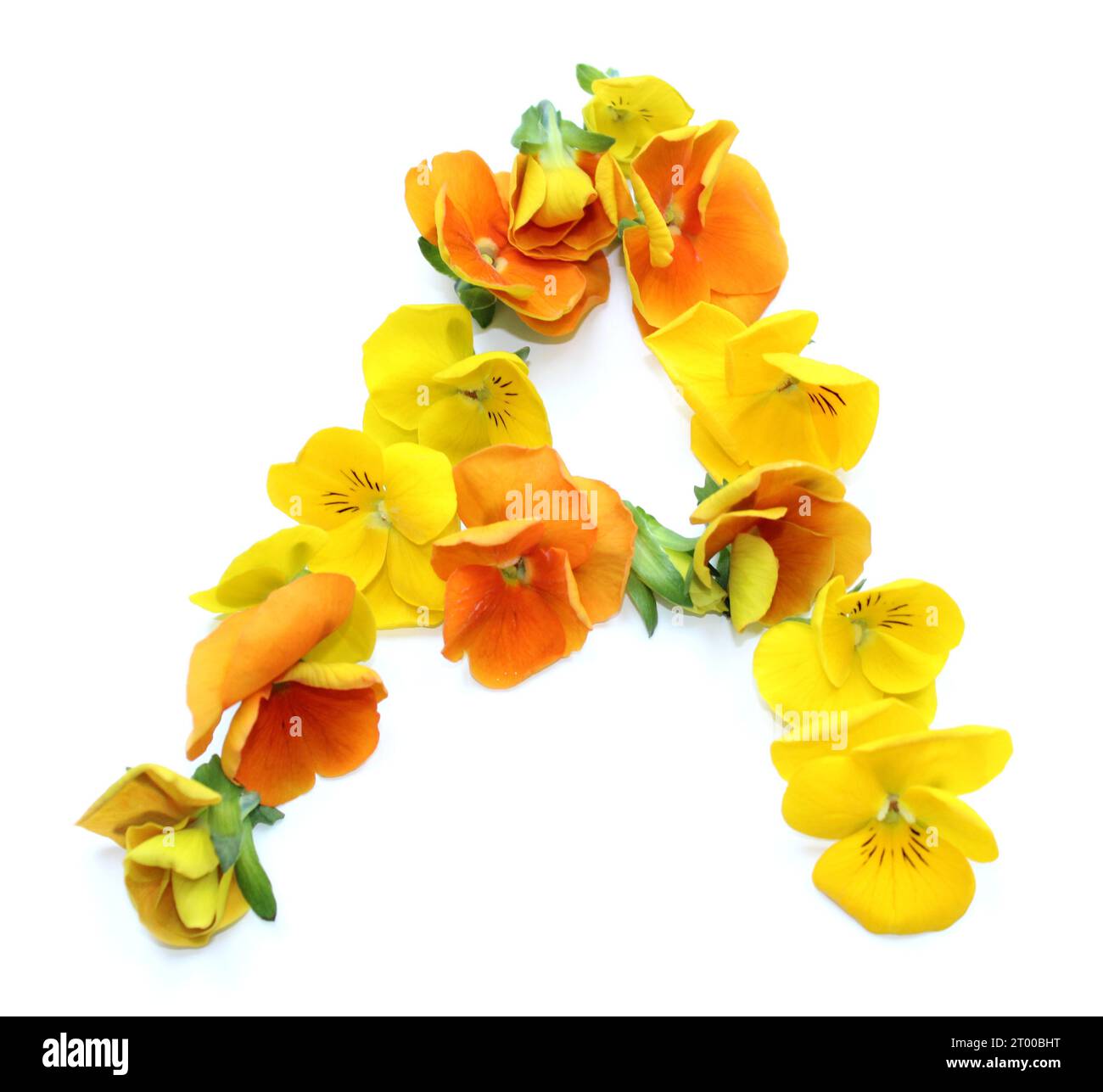 A, arrangements floraux naturels avec de vraies fleurs fraîches jaune orange combiné alphabet de lettre pour le mariage de Saint-Valentin des mères cartes de remerciement Banque D'Images