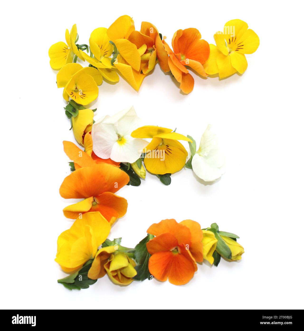 E, arrangements de fleurs naturelles avec de vraies fleurs fraîches jaune orange combiné alphabet de lettre pour le mariage de Saint-Valentin des mères cartes de remerciement Banque D'Images