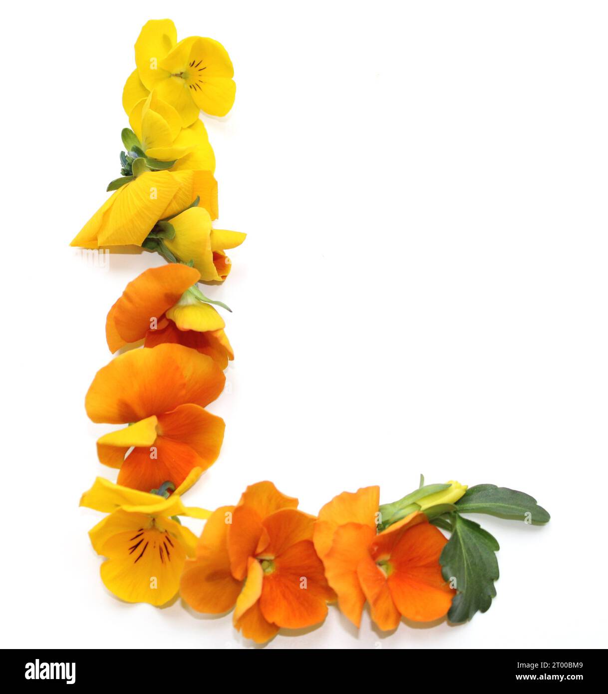 L, arrangements de fleurs naturelles avec de vraies fleurs fraîches jaune orange combiné alphabet de lettre pour le mariage de Saint-Valentin des mères cartes de remerciement Banque D'Images