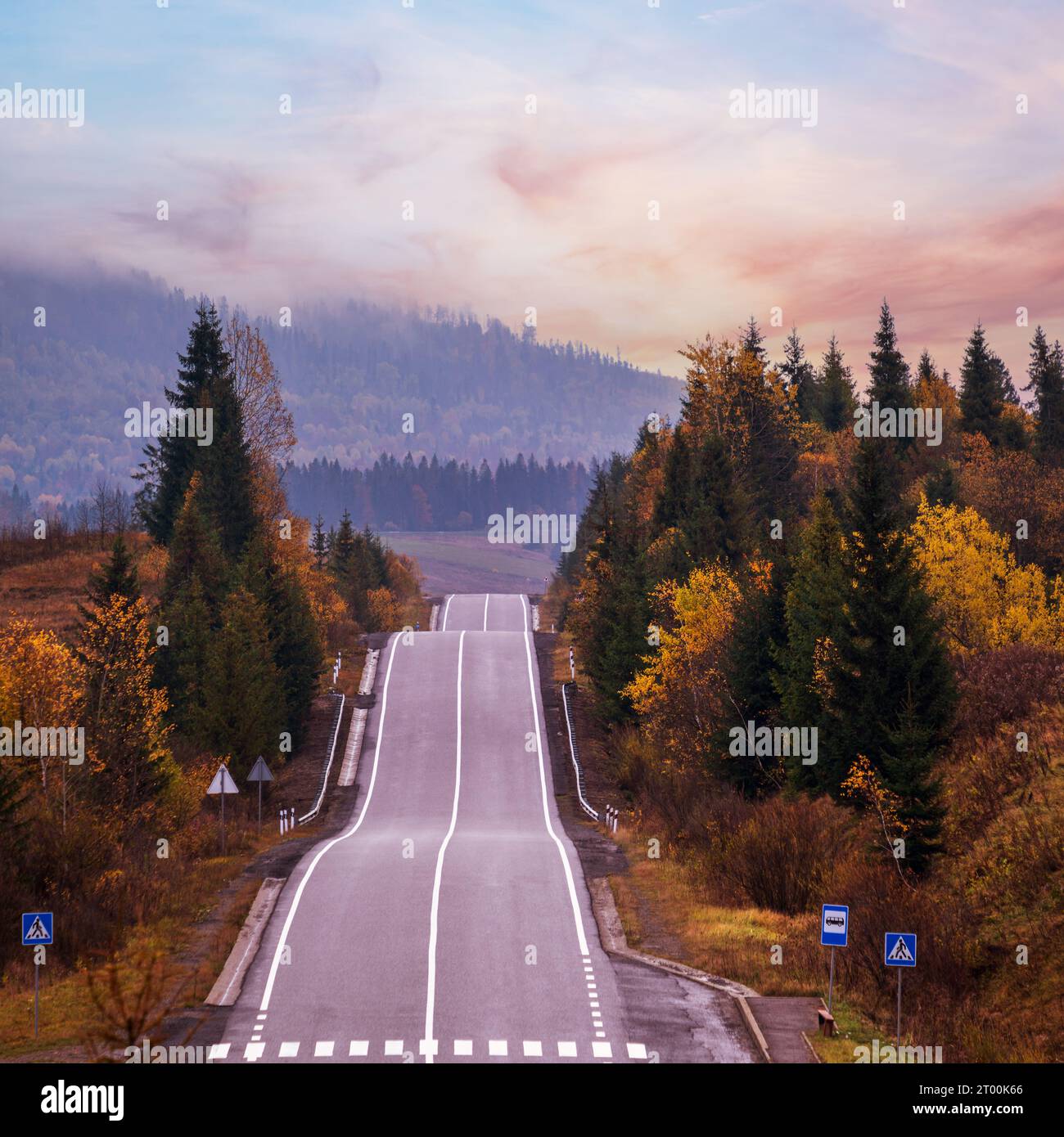 Montagnes des Carpathes et autoroute sur le col de montagne, Ukraine. Banque D'Images