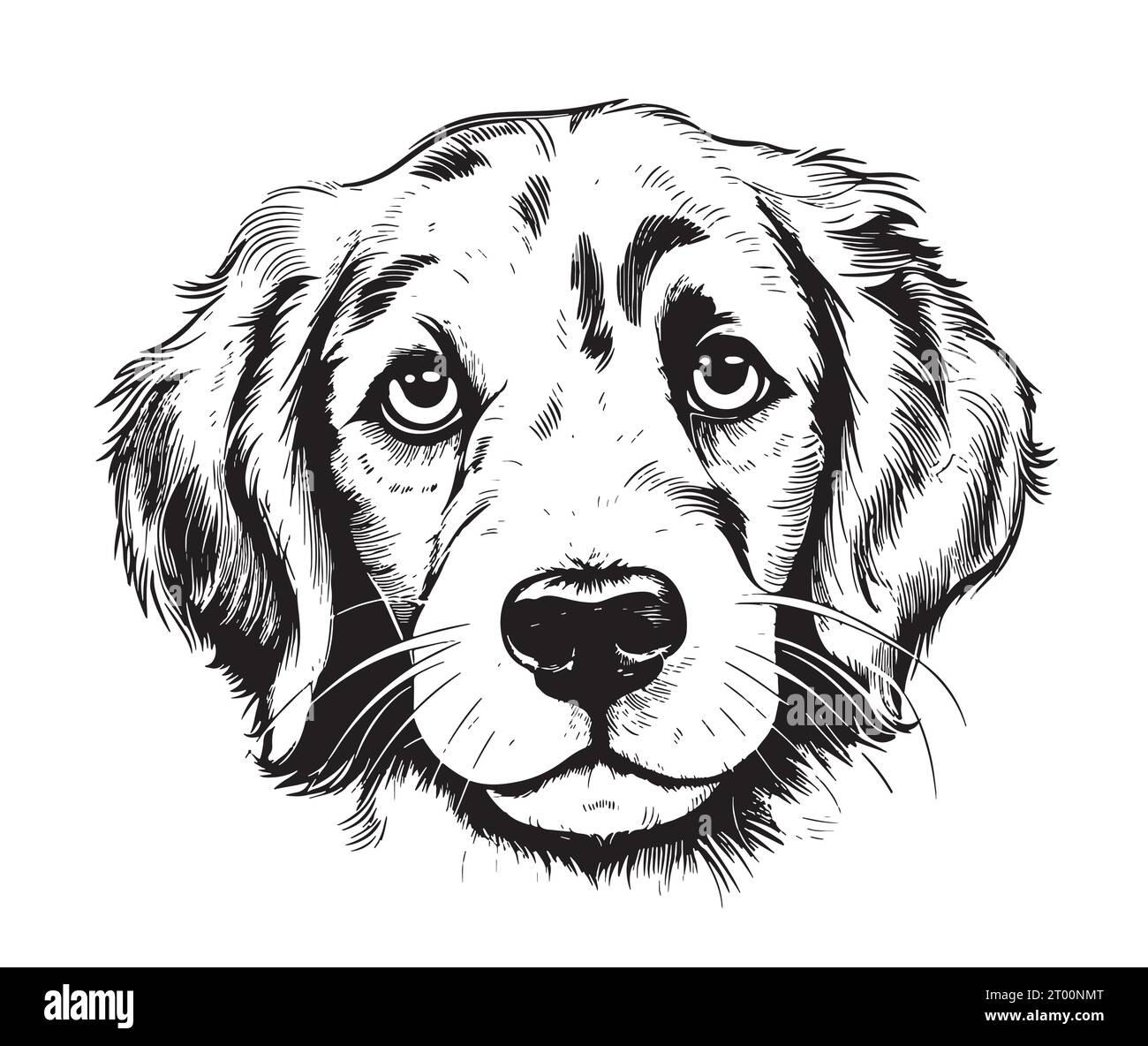 Croquis mignon de tête de chien dessiné à la main Vector illustration animaux de compagnie Illustration de Vecteur