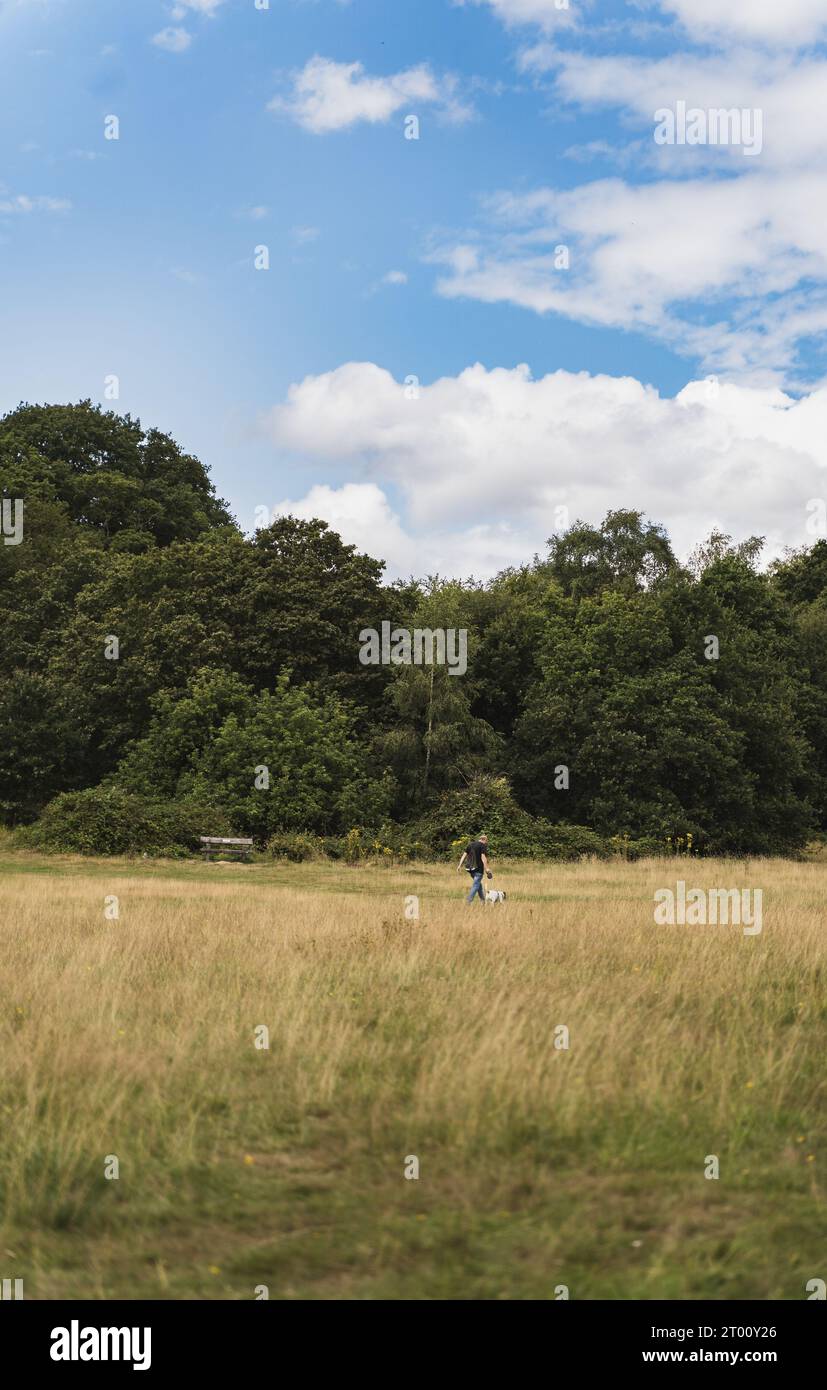 La vie à Londres Royaume-Uni Banque D'Images