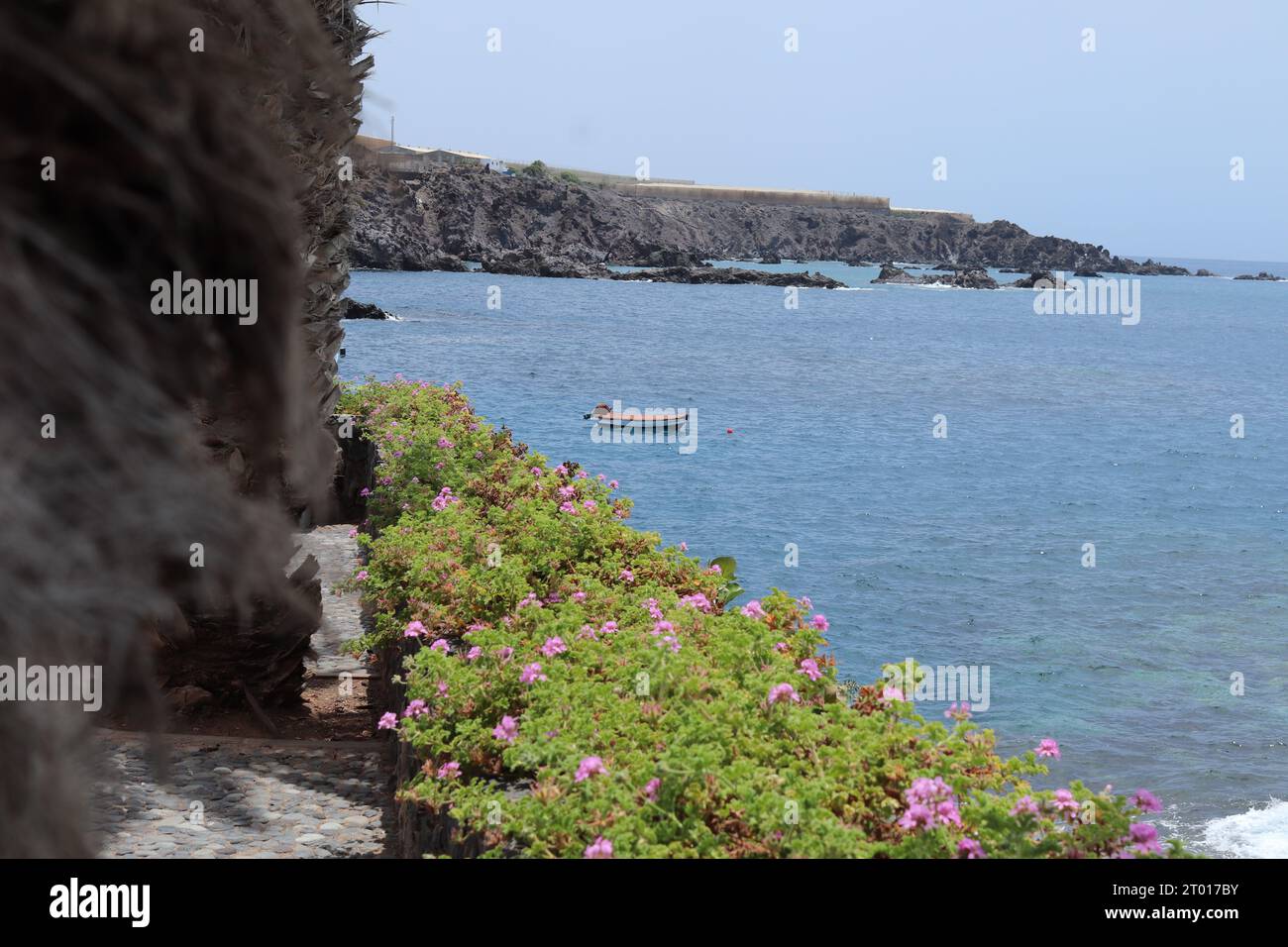 Peacefull vue sur l'océan, promenade pédestre Alcala Tenerfie, avec un petit bateau et quelques fleurs roses beatifull Banque D'Images
