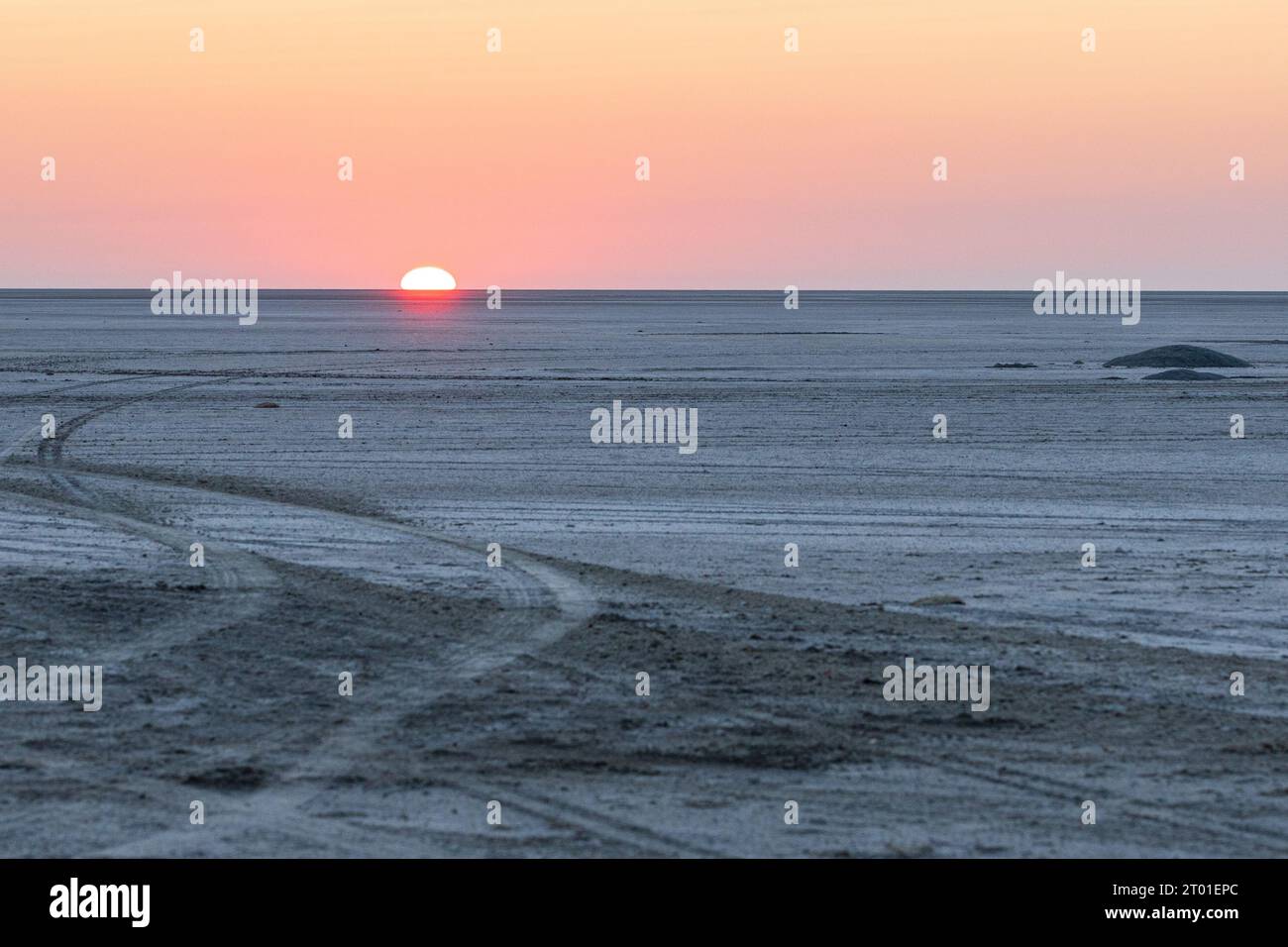 Une vue au lever du soleil sur le Makgadikgadi Pan depuis l'île de Kubu au Botswana Banque D'Images