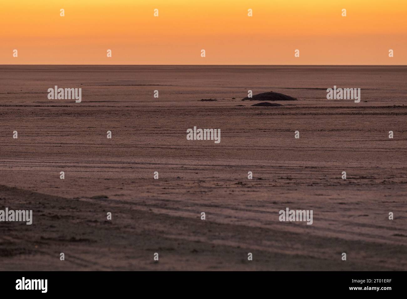 Une vue au lever du soleil sur le Makgadikgadi Pan depuis l'île de Kubu au Botswana Banque D'Images
