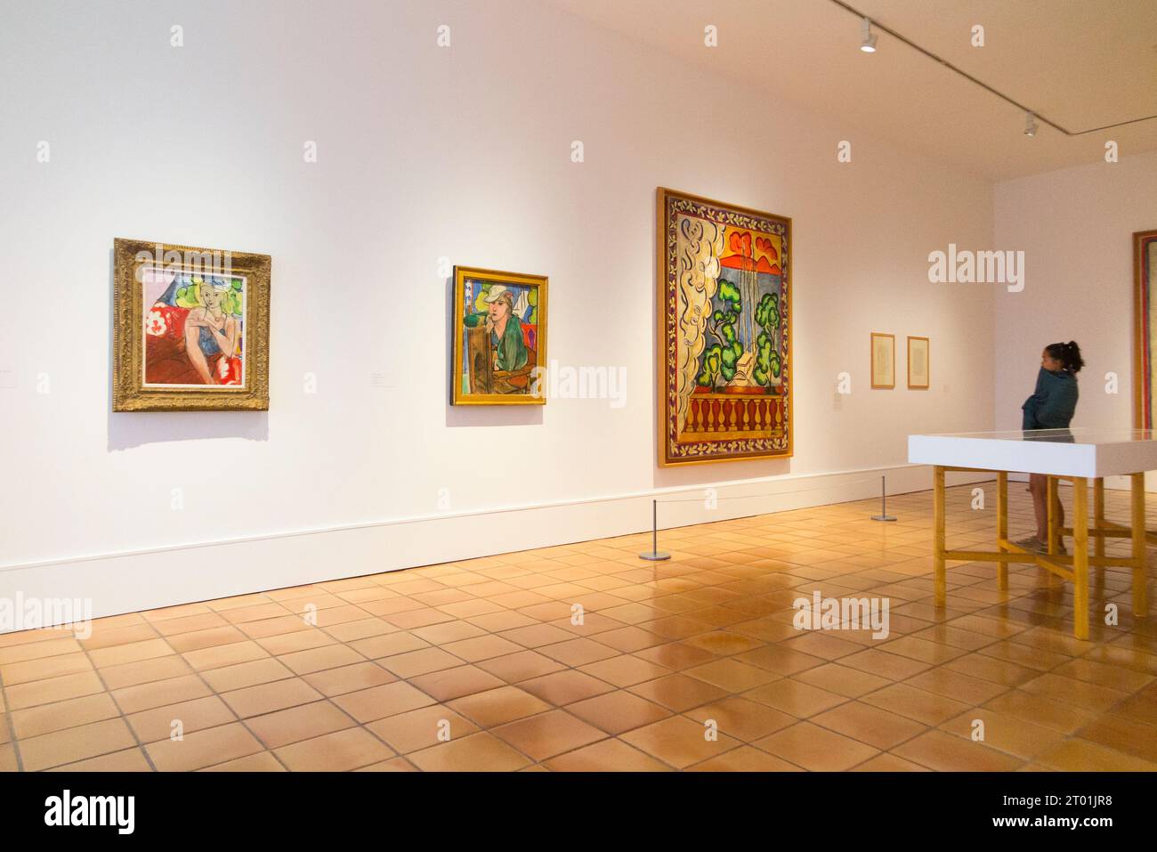 Salle présentant des peintures et d'autres œuvres sur le thème « Fauvisme ravivé » par l'artiste dans le bâtiment de la galerie du Musée Matisse à Nice, France. (135) Banque D'Images