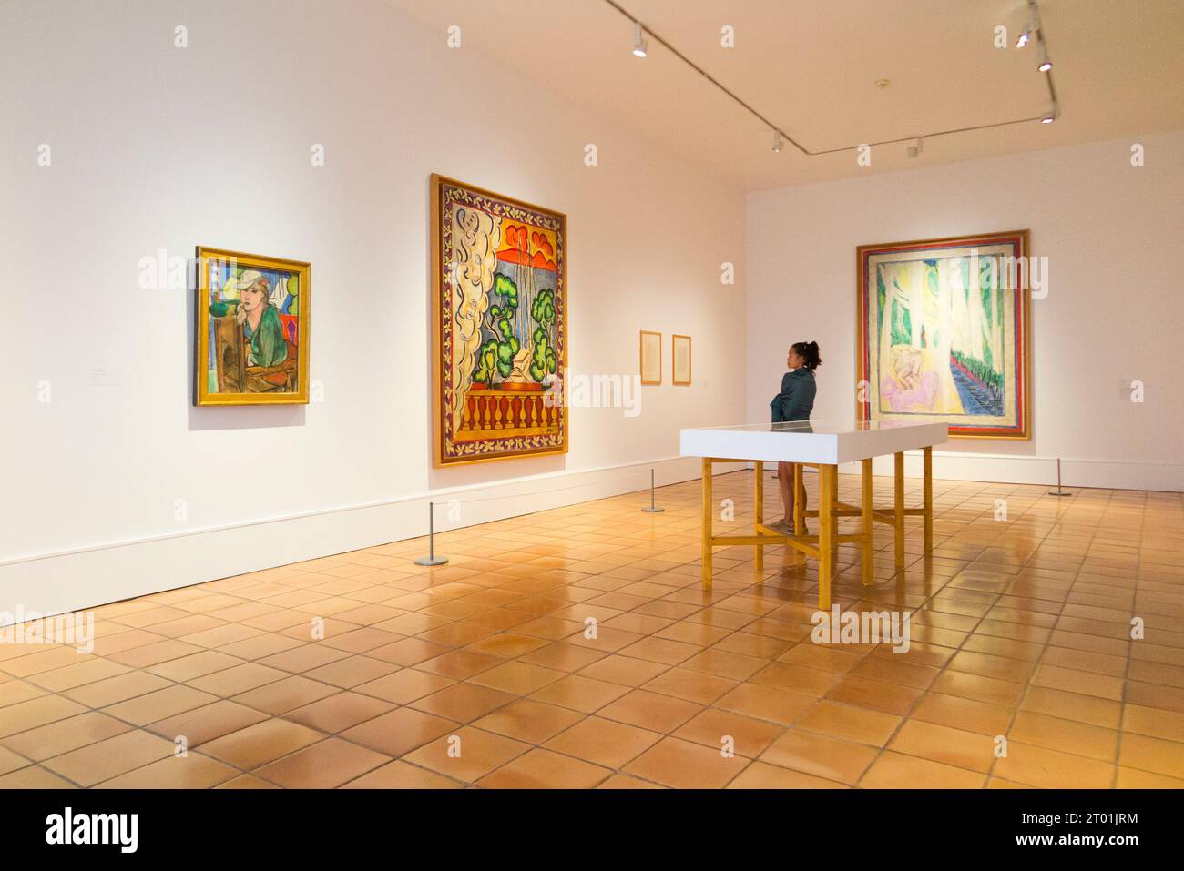 Salle présentant des peintures et d'autres œuvres sur le thème « Fauvisme ravivé » par l'artiste dans le bâtiment de la galerie du Musée Matisse à Nice, France. (135) Banque D'Images