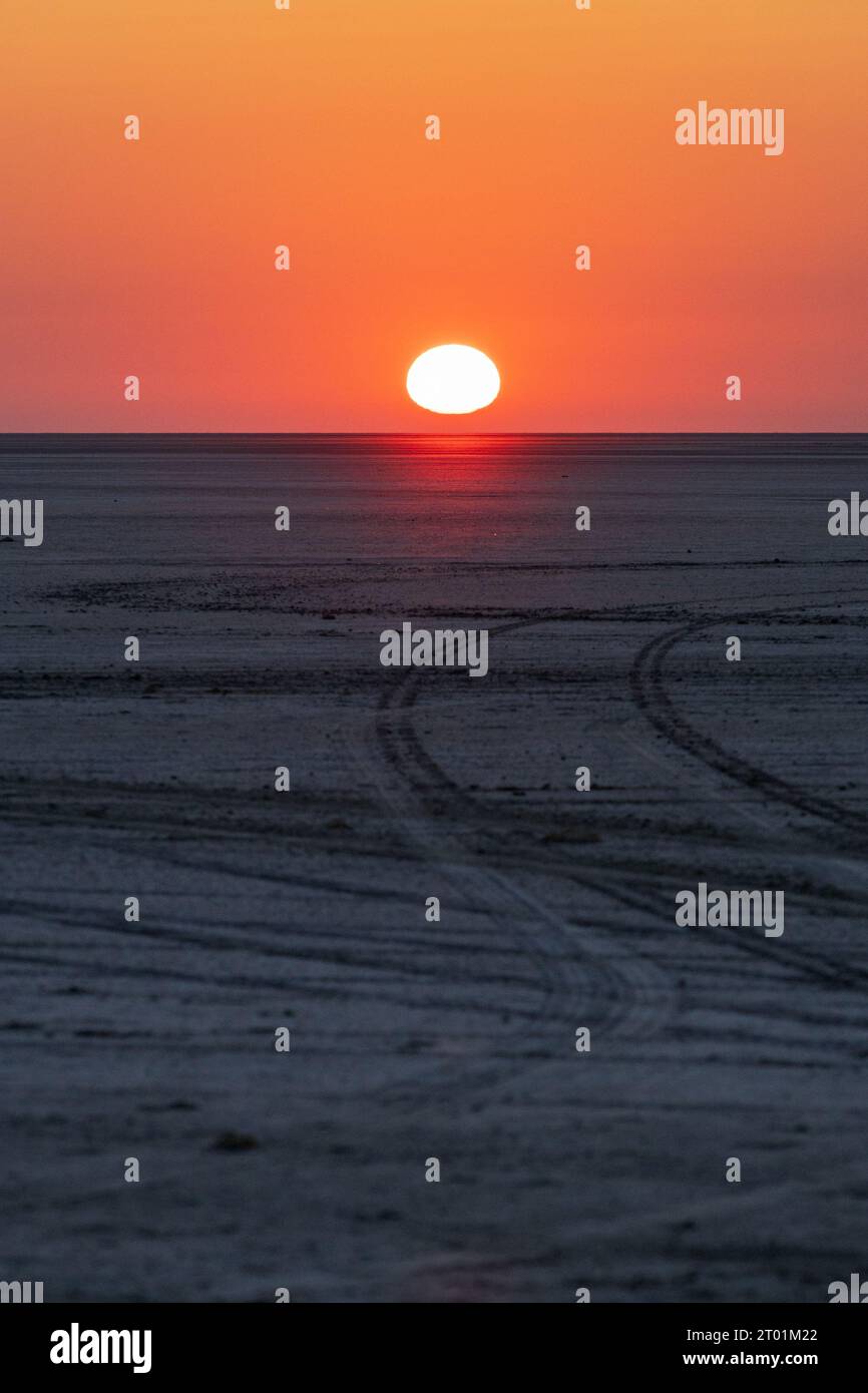 Une vue au lever du soleil sur le Makgadikgadi Pan depuis l'île de Kubu au Botswana Banque D'Images