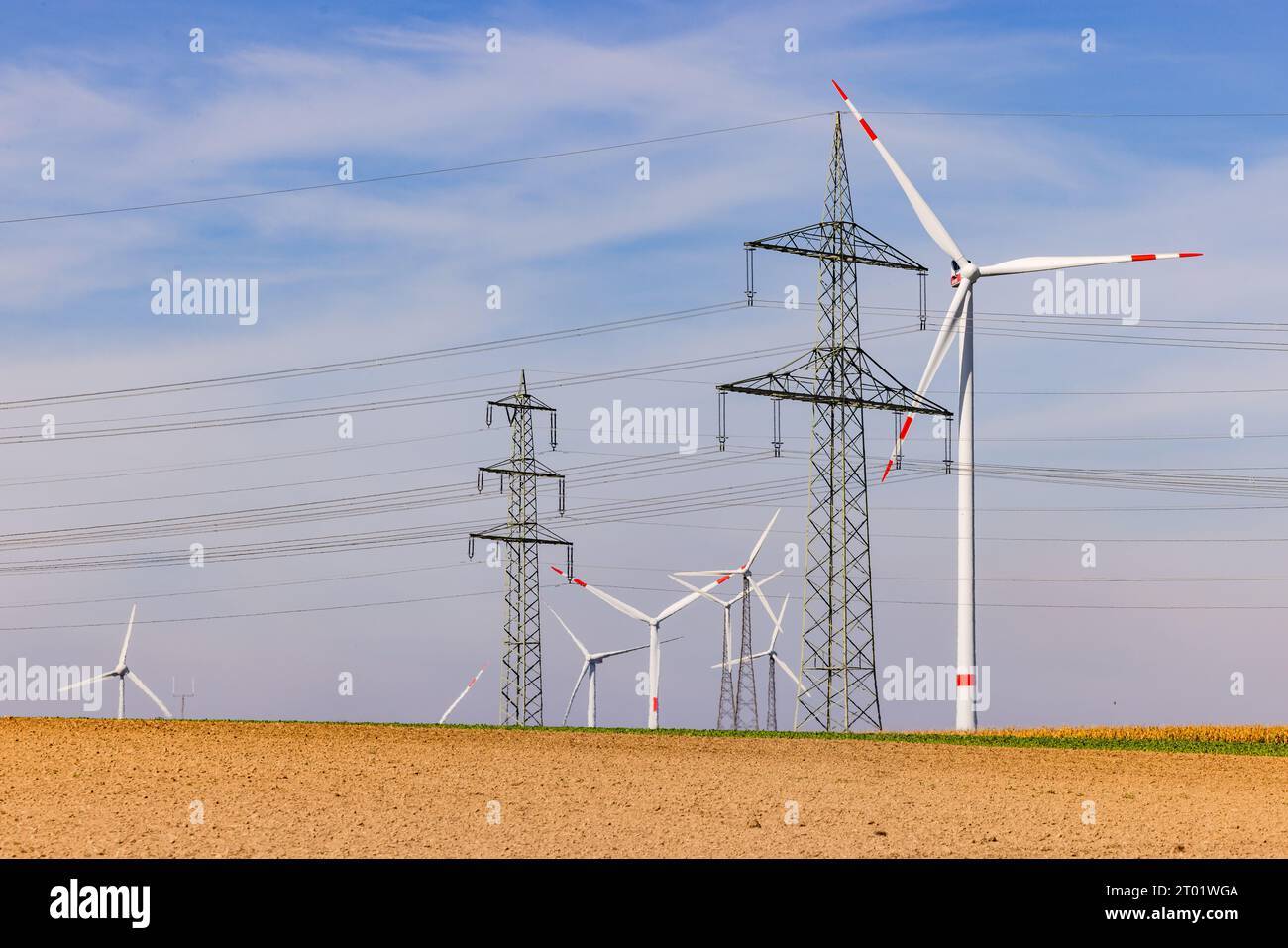 Champ avec de nombreuses éoliennes d'une éolienne et des lignes électriques de plusieurs poteaux électriques sous ciel bleu Banque D'Images