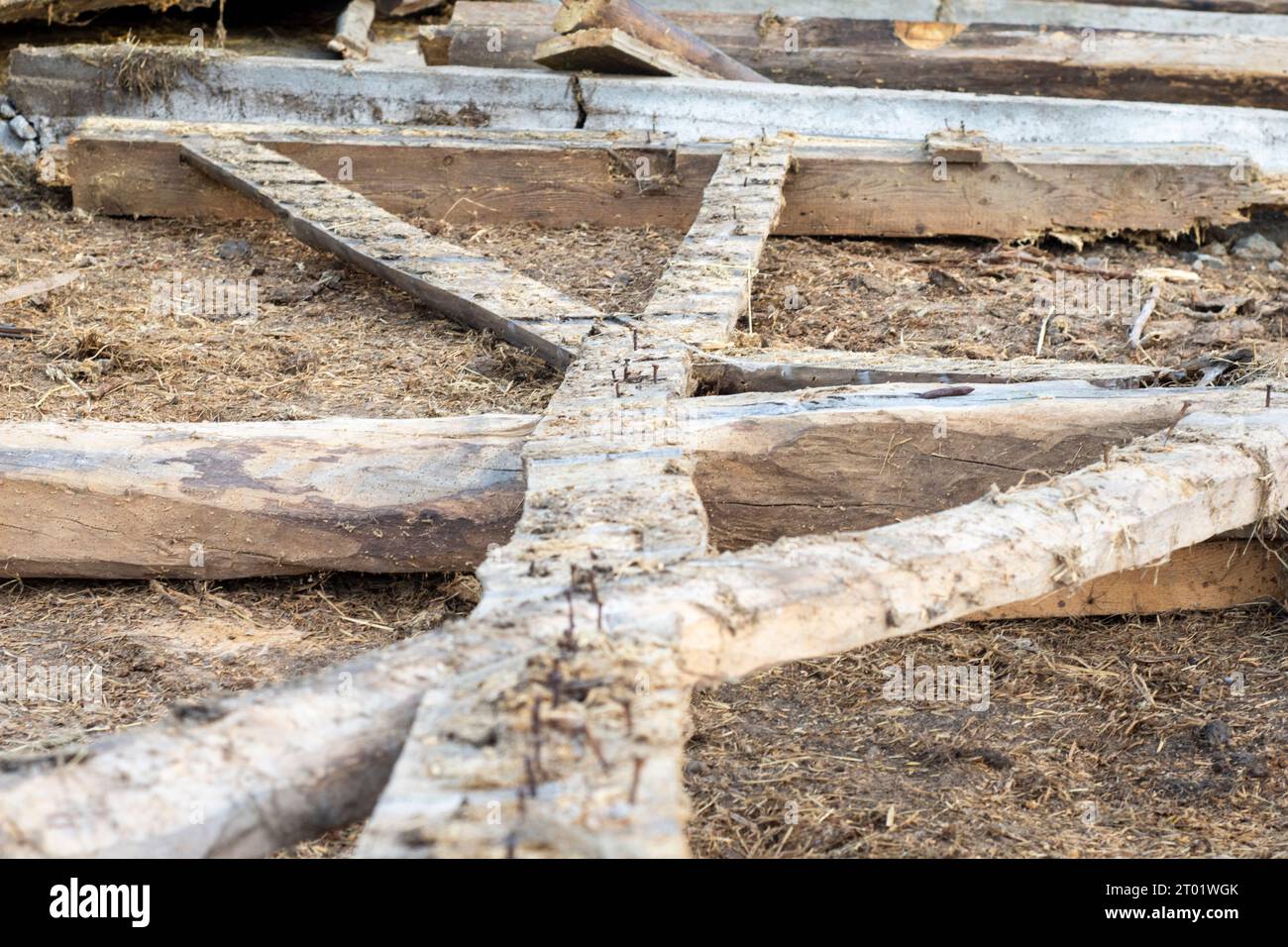 Vieilles poutres en bois endommagées reposent avec des clous rouillés coincés après la démolition de la grange. Grange. Banque D'Images