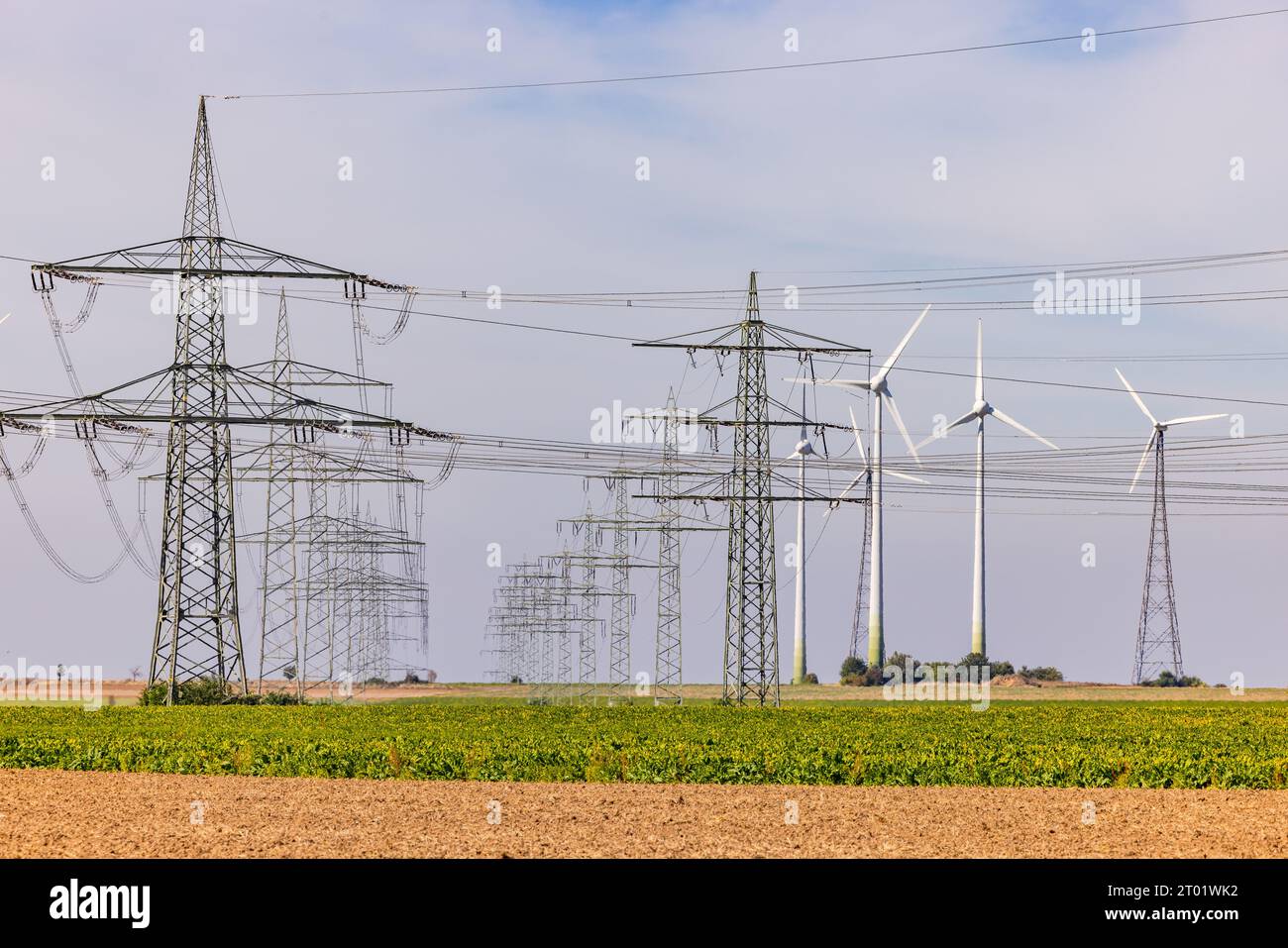 Panorama avec d'innombrables poteaux électriques et lignes électriques à côté d'une ferme solaire avec des éoliennes dans la campagne Banque D'Images