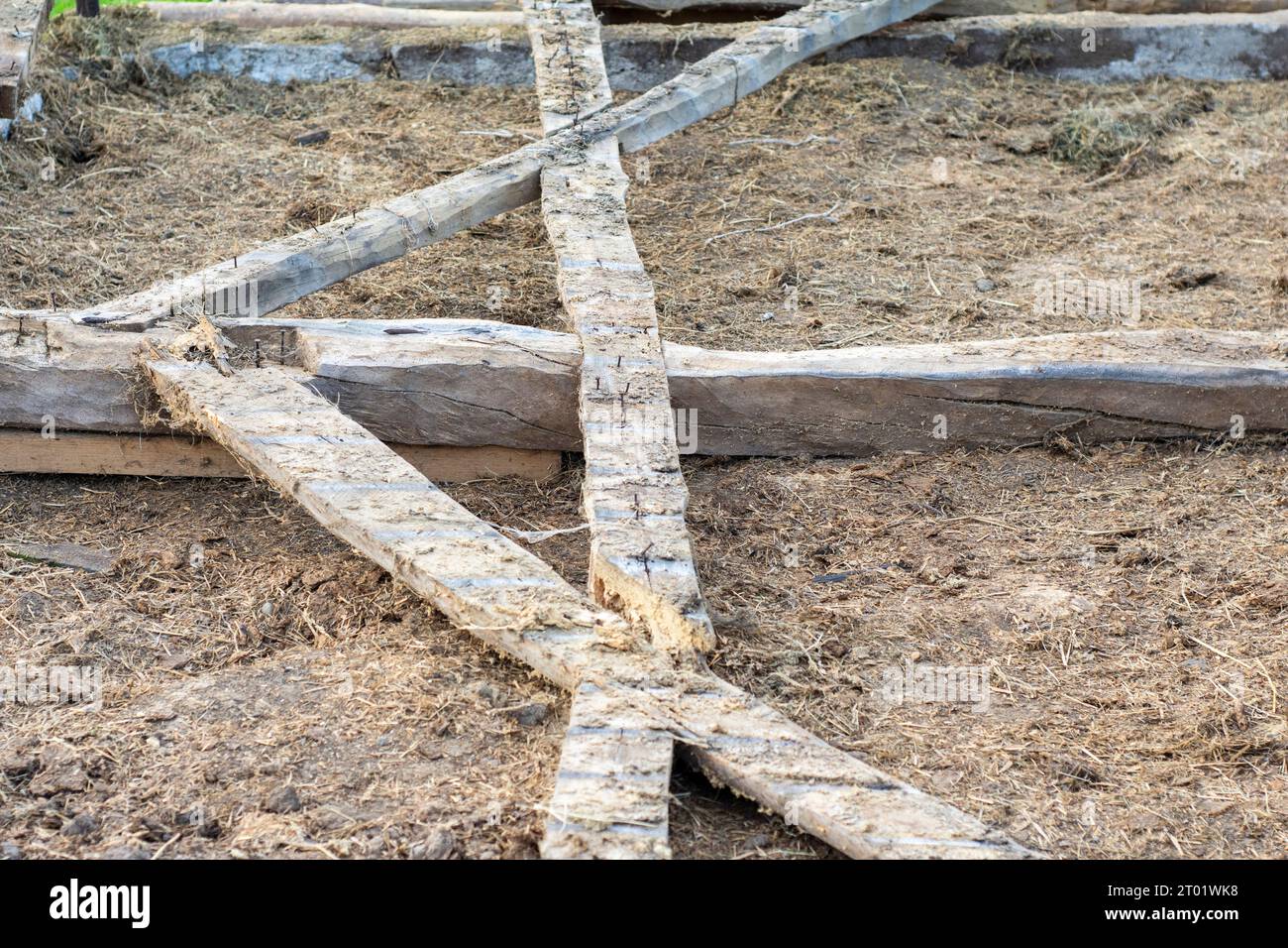 Vieilles poutres en bois endommagées reposent avec des clous rouillés coincés après la démolition de la grange. Grange. Banque D'Images