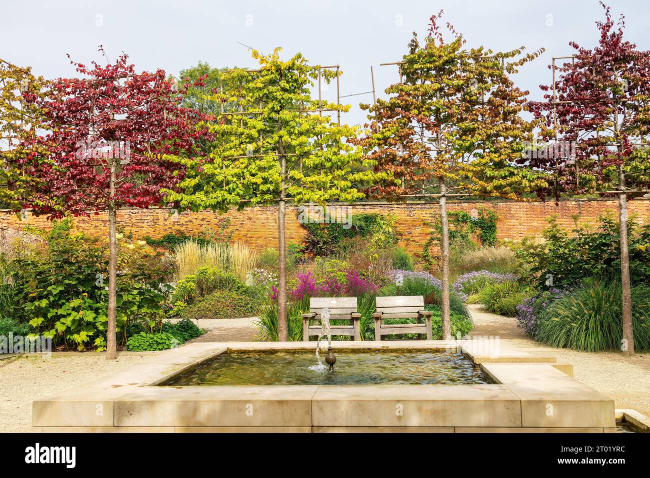 De grands arbres plissés comme arrière-plan d'une fontaine dans le parc de RHS Garden Bridgewater, Royaume-Uni. Banque D'Images