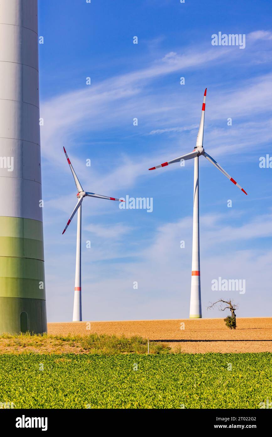 Énormes éoliennes d'un parc éolien dans un champ agricole sec à côté d'un petit arbre rabouté comme une image de portrait Banque D'Images