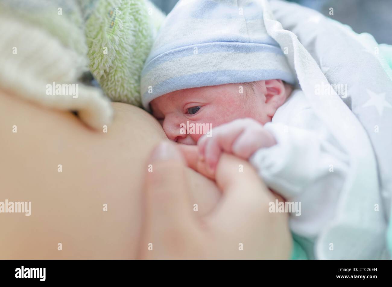 Allaitement du nouveau-né tout en étant doucement tenu par la mère dans une lumière naturelle douce Banque D'Images