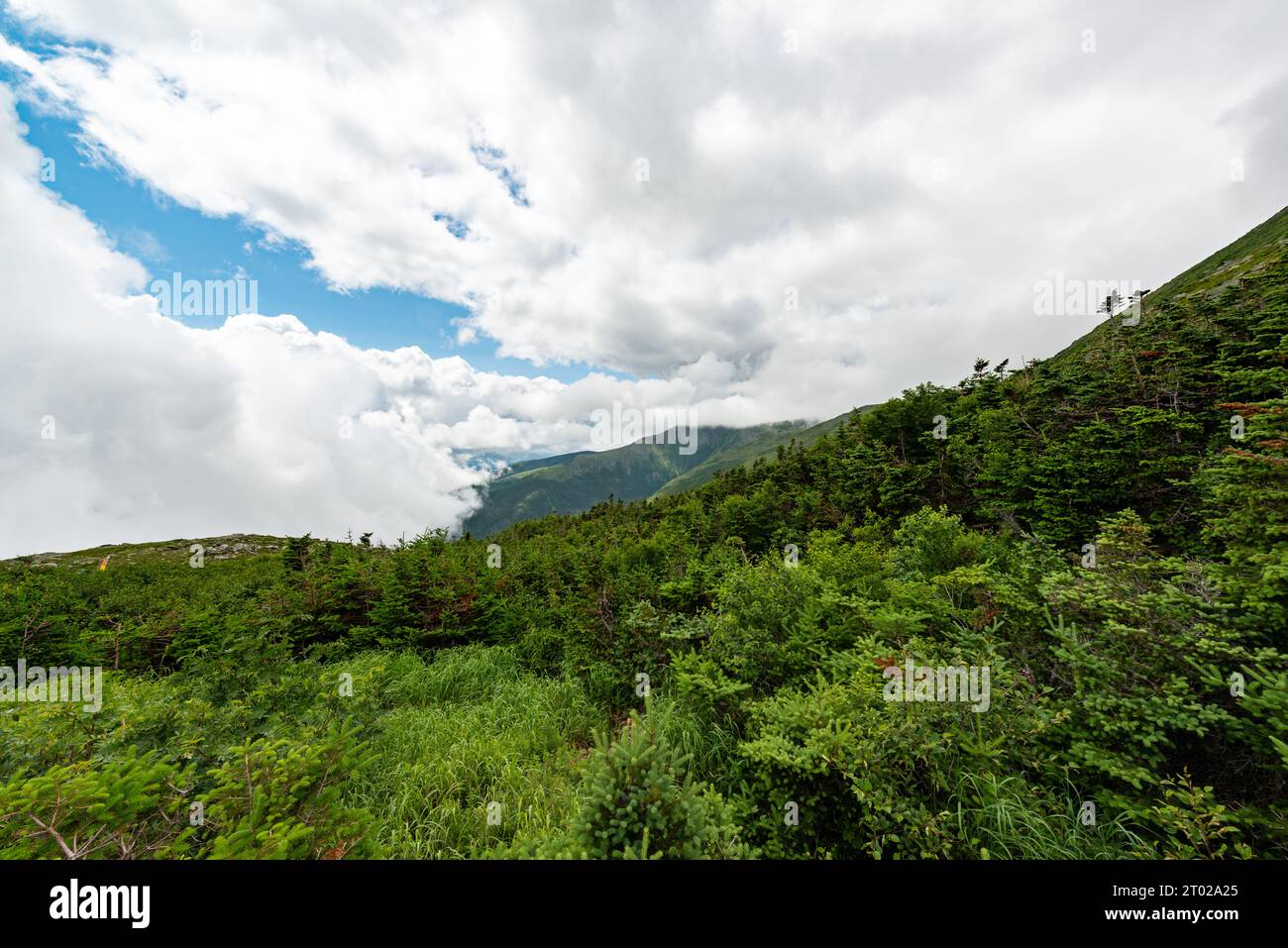 Paysage du Mont Washington, New Hampshire, USA Banque D'Images