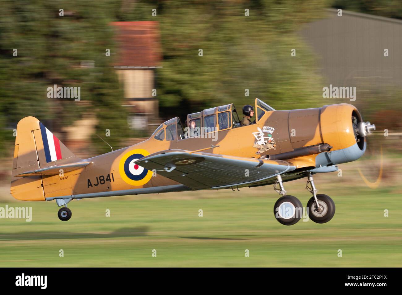 Wacky Wabbit, un T-6H Harvard exposé au Shuttleworth Collection Race Day Air Display. Banque D'Images