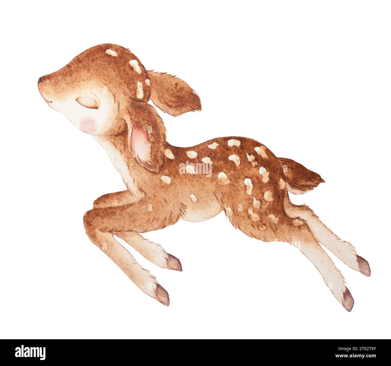 Illustration de cerf mignon, Little Deer Sleeping Aquarelle, Fawn Aquarelle Illustration Banque D'Images