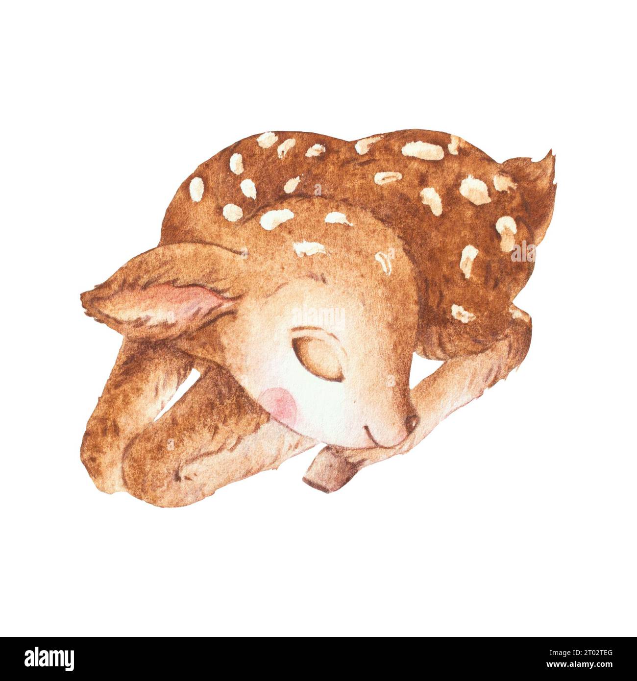 Little Deer Sleeping Aquarelle, illustrations mignonnes de cerf, Illustration d'aquarelle de faon, Illustration d'animaux de la forêt Banque D'Images