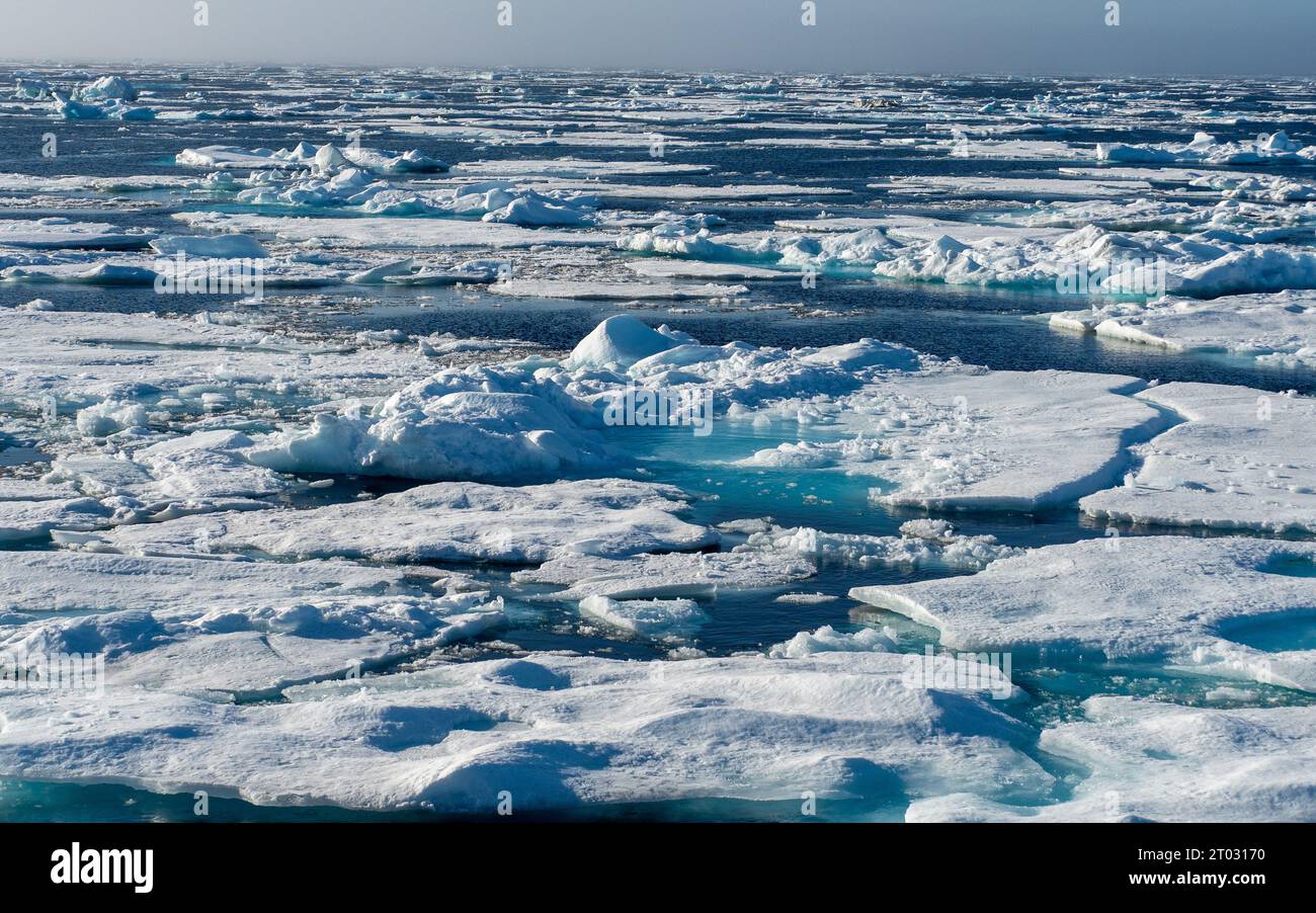 Glace de mer dans la mer du Groenland dans l'Arctique Banque D'Images