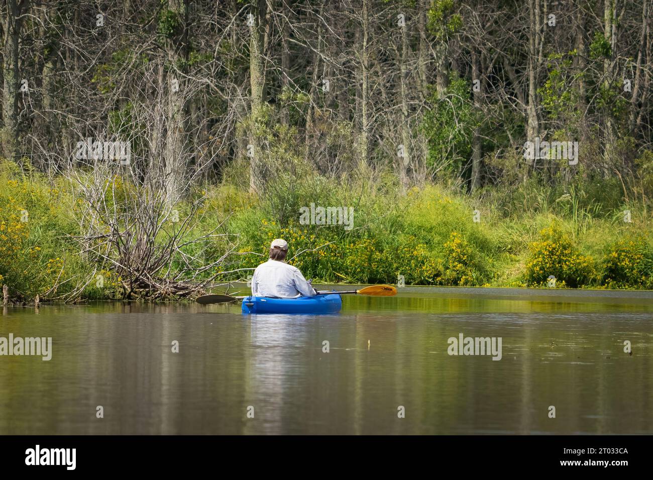 Une des choses que j'aime faire pour les loisirs de plein air dans le comté de Door est le kayak dans les nombreux ruisseaux et lacs intérieurs là-bas, ainsi que le lac Michigan. Banque D'Images