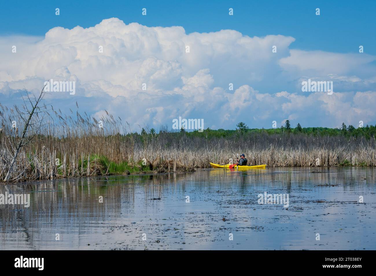 Une des choses que j'aime faire pour les loisirs de plein air dans le comté de Door est le kayak dans les nombreux ruisseaux et lacs intérieurs là-bas, ainsi que le lac Michigan. Banque D'Images