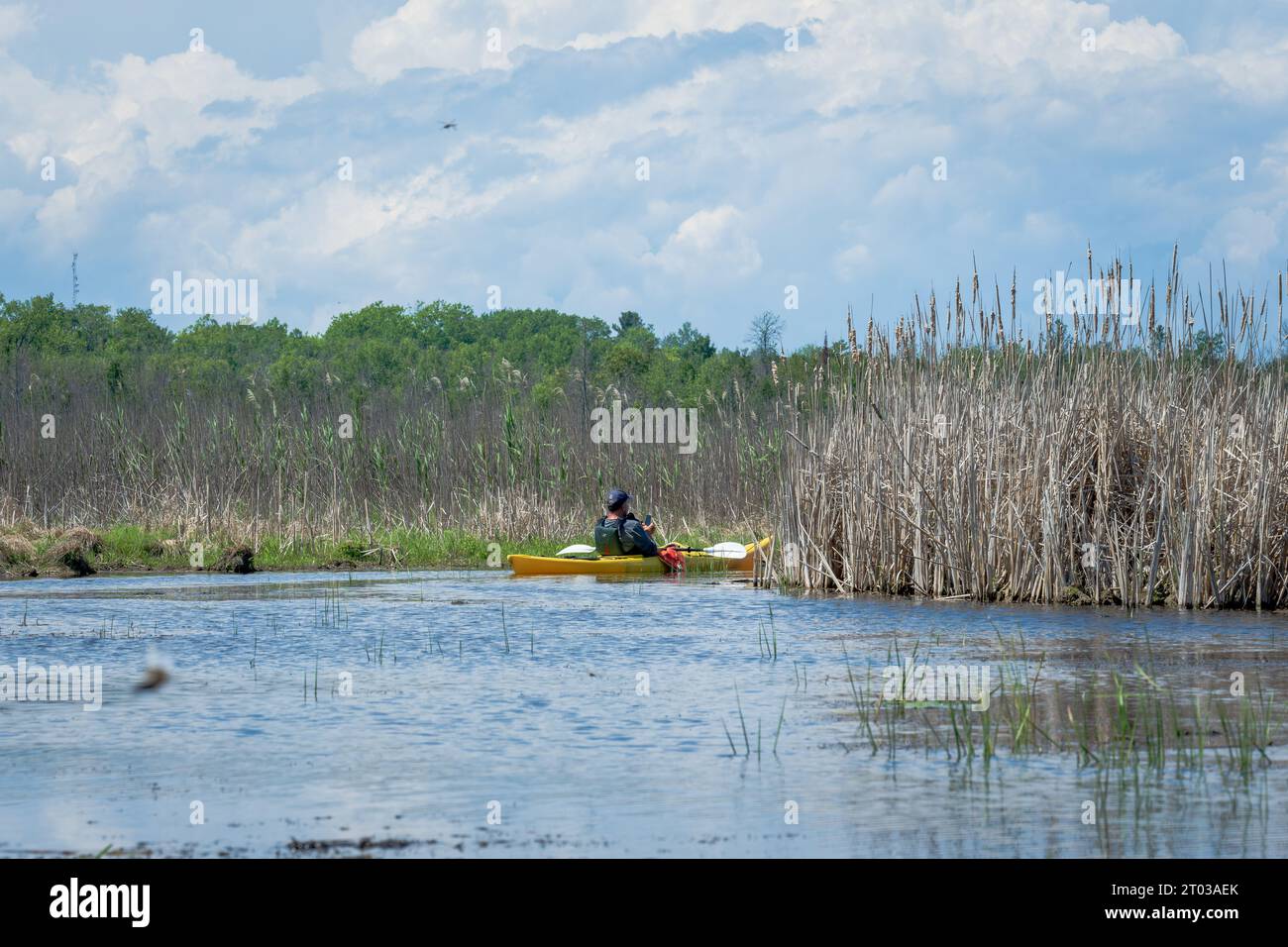 Une des choses que j'aime faire pour les loisirs de plein air dans le comté de Door est le kayak dans les nombreux ruisseaux et lacs intérieurs là-bas, ainsi que le lac Michigan. Banque D'Images