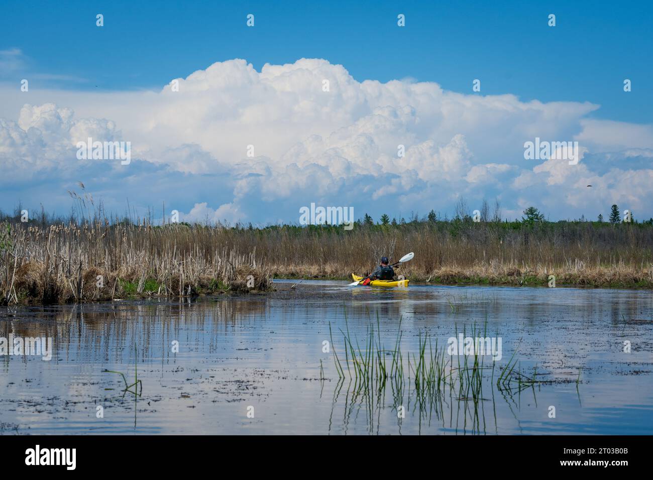 Une des choses que j'aime faire pour les loisirs de plein air dans le comté de Door est le kayak dans les nombreux ruisseaux et lacs intérieurs là-bas, ainsi que le lac Michigan. Banque D'Images