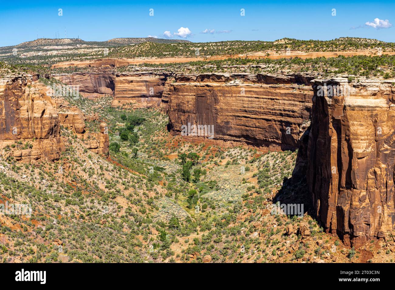 Monumnetas et Canyons vus au large de Rim Rock Drive dans le Colorado National Monument Banque D'Images