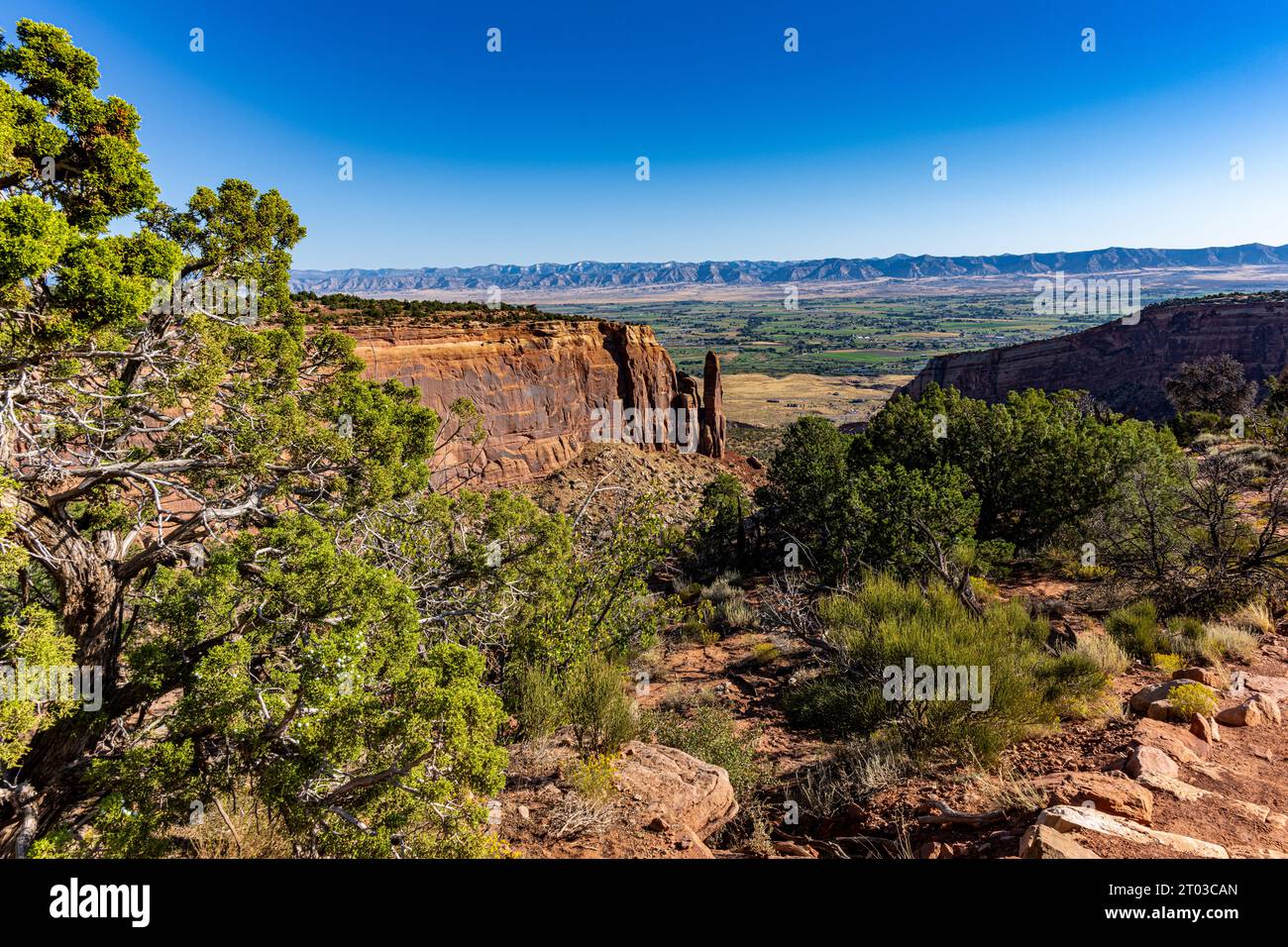Monumnetas et Canyons vus au large de Rim Rock Drive dans le Colorado National Monument Banque D'Images