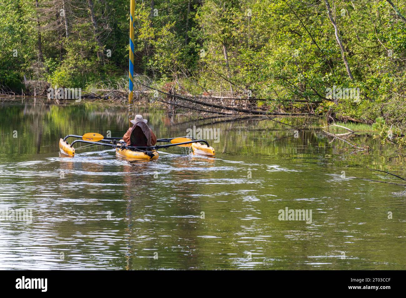 Une des choses que j'aime faire pour les loisirs de plein air dans le comté de Door est le kayak dans les nombreux ruisseaux et lacs intérieurs là-bas, ainsi que le lac Michigan. Banque D'Images