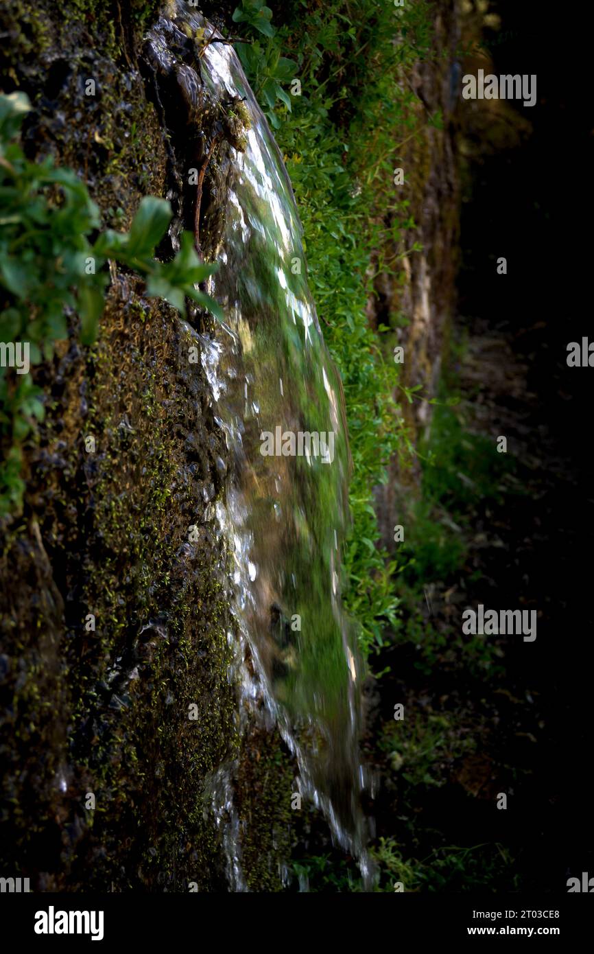 Eau minérale naturelle fraîche sortant du printemps avec mur de mousse verdâtre dans la verticale sombre Banque D'Images