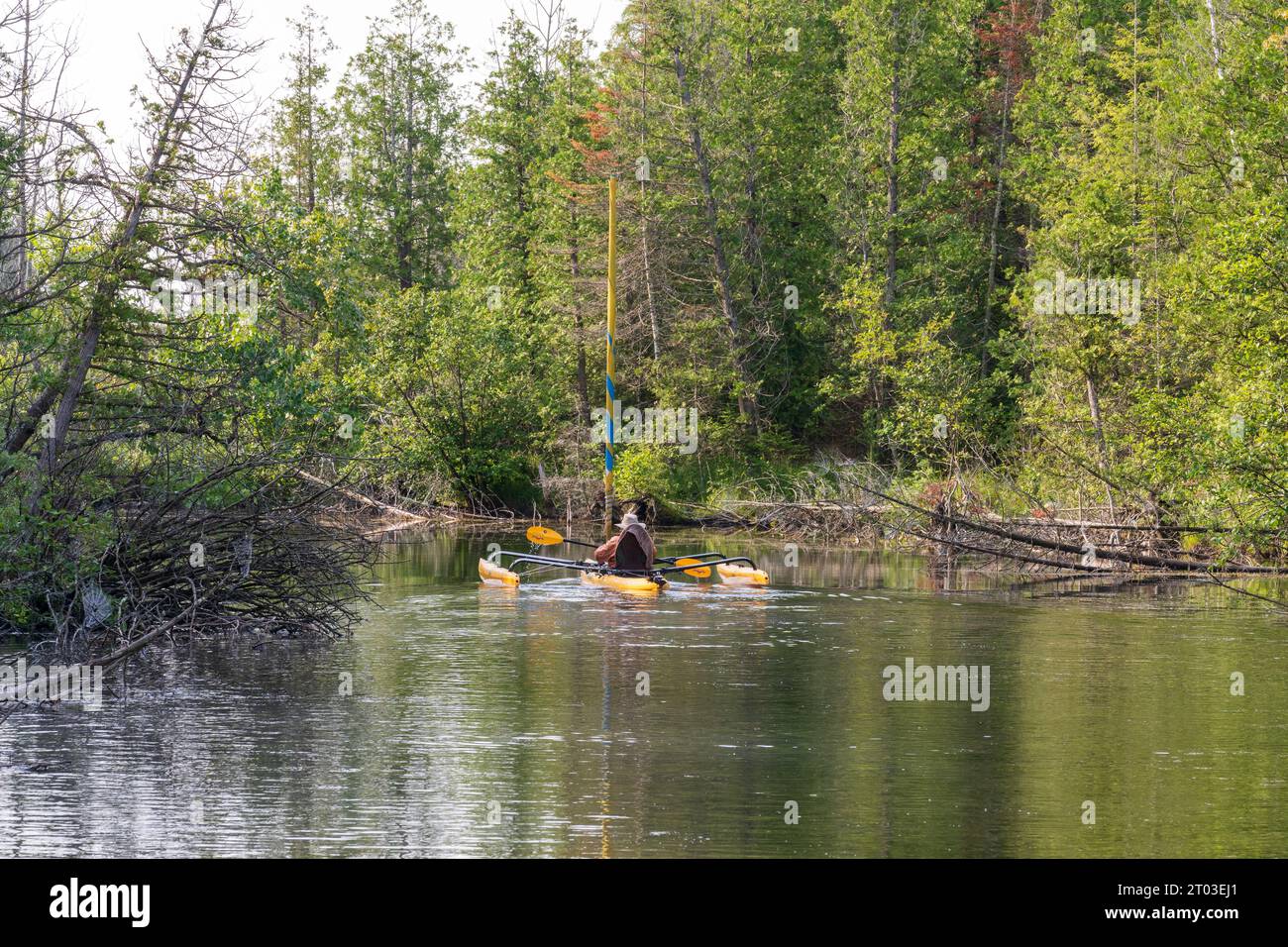 Une des choses que j'aime faire pour les loisirs de plein air dans le comté de Door est le kayak dans les nombreux ruisseaux et lacs intérieurs là-bas, ainsi que le lac Michigan. Banque D'Images