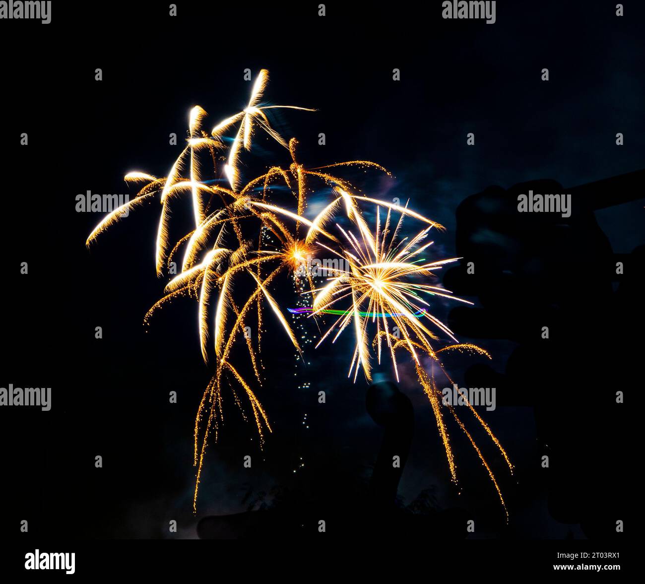 Salmon Run dans la rivière Ganaraska. Port Hope, ONTARIO. Canada Banque D'Images