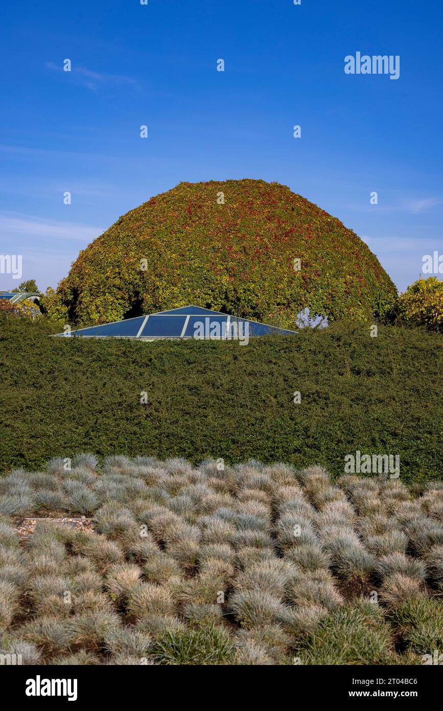 Jardin sur le toit, nouvelle bibliothèque de l'Université de Varsovie, Varsovie, Pologne Banque D'Images