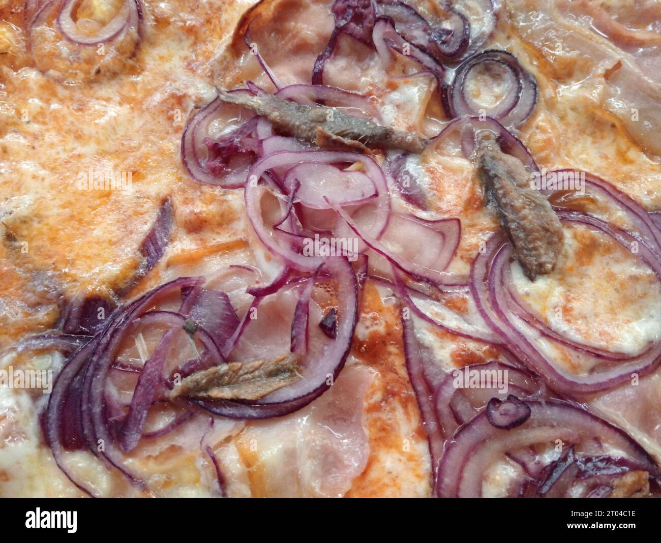 Pizza italienne aux oignons, gorgonzola et anchois Banque D'Images