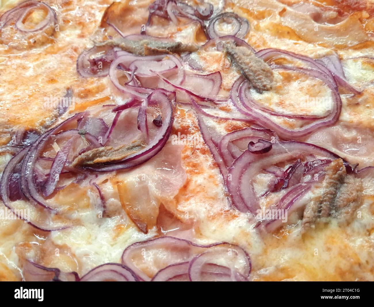 Pizza italienne aux oignons, gorgonzola et anchois Banque D'Images