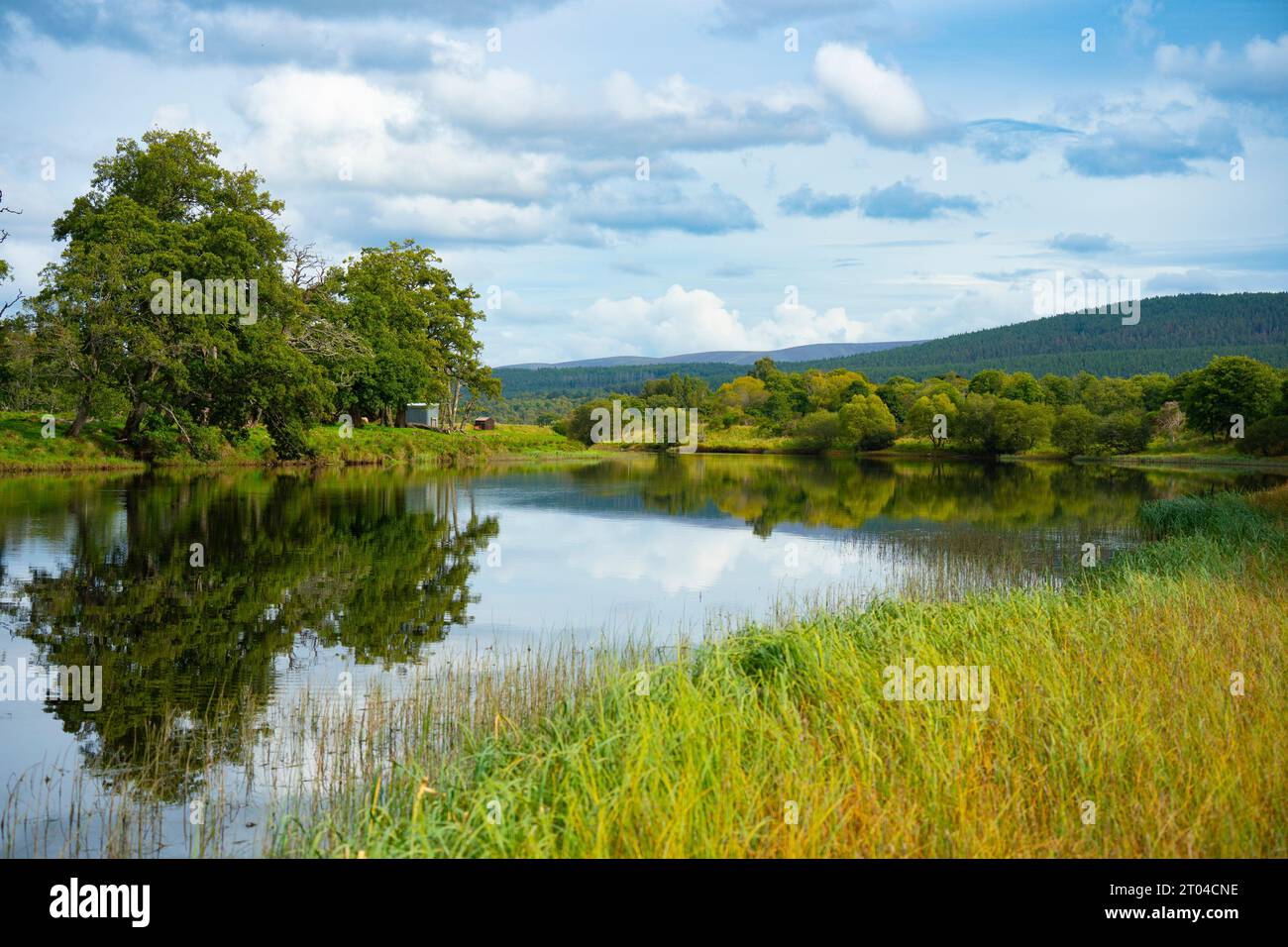 Vue sur la rivière Spey près de Boat of Garten, Strathspey, Highland Region, Écosse, Royaume-Uni Banque D'Images