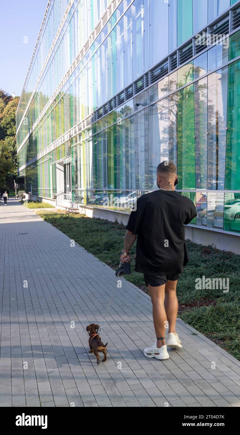 Grand jeune homme marchant très petit chien, Varsovie, Pologne Banque D'Images