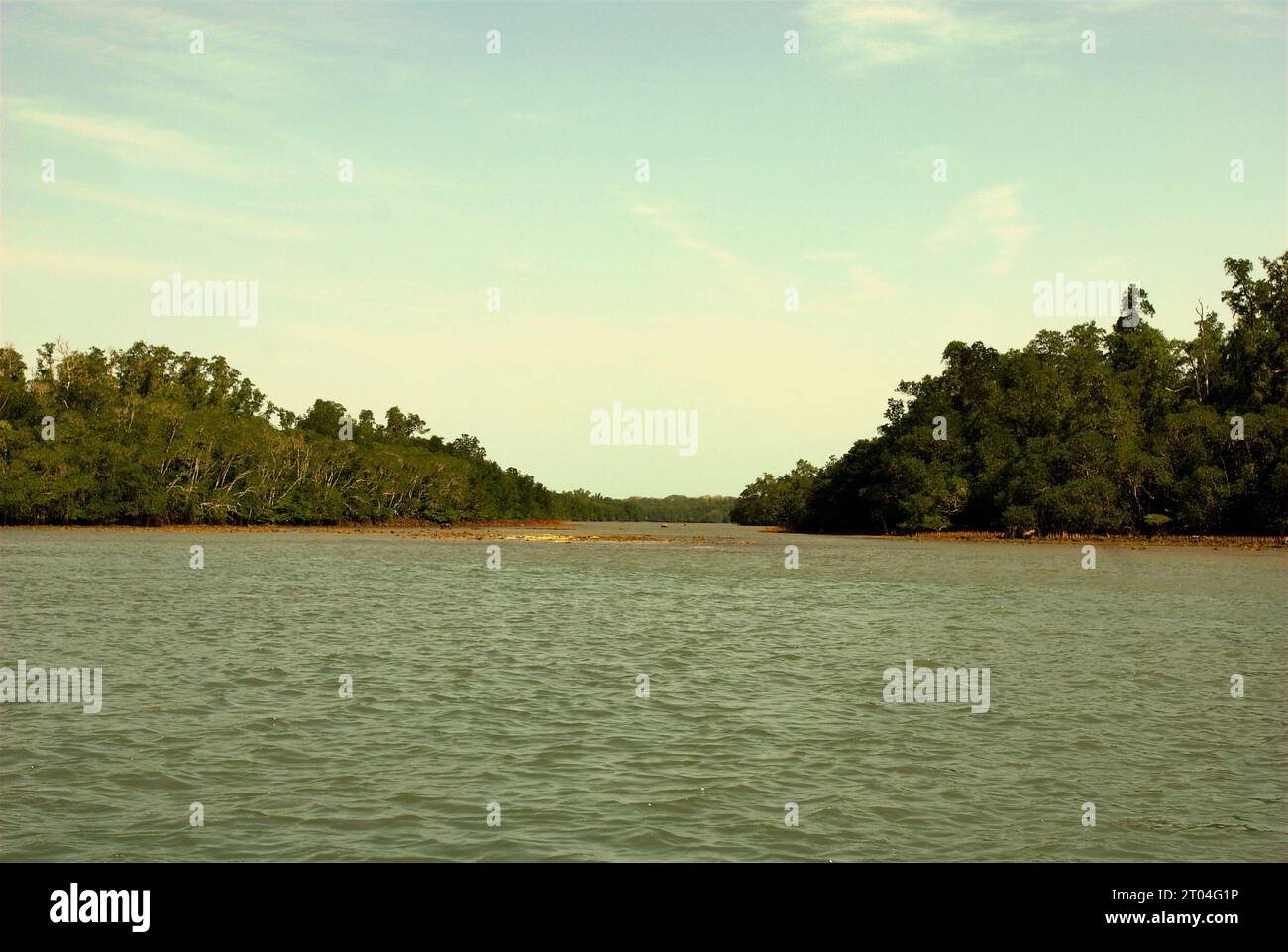 Forêt de mangroves et paysage côtier de l'île Handeuleum, une partie du parc national d'Ujung Kulon à Pandeglang, Banten, Indonésie. « Le parc national d'Ujung Kulon était une réserve faunique, qui a ensuite été étendue à la mer, principalement pour protéger l'écosystème des récifs coralliens dans la région ou comme zone tampon », ont écrit Tonny Soehartono et Ani Mardiastuti dans leur ouvrage de 2014 (gouvernance des parcs nationaux en Indonésie : leçons apprises de sept parcs nationaux). La plupart des parcs nationaux en Indonésie ont été créés dans les années 1980 et 1990 Les zones du parc étaient à l'origine soit des réserves naturelles strictes, soit... Banque D'Images