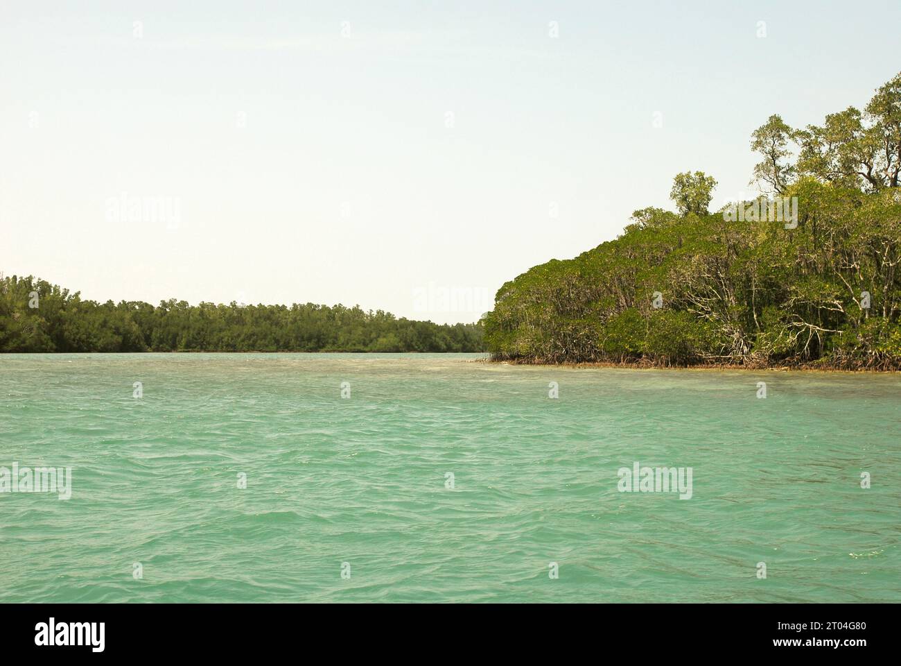Forêt de mangroves et paysage côtier de l'île Handeuleum, une partie du parc national d'Ujung Kulon à Pandeglang, Banten, Indonésie. « Le parc national d'Ujung Kulon était une réserve faunique, qui a ensuite été étendue à la mer, principalement pour protéger l'écosystème des récifs coralliens dans la région ou comme zone tampon », ont écrit Tonny Soehartono et Ani Mardiastuti dans leur ouvrage de 2014 (gouvernance des parcs nationaux en Indonésie : leçons apprises de sept parcs nationaux). La plupart des parcs nationaux en Indonésie ont été créés dans les années 1980 et 1990 Les zones du parc étaient à l'origine soit des réserves naturelles strictes, soit... Banque D'Images