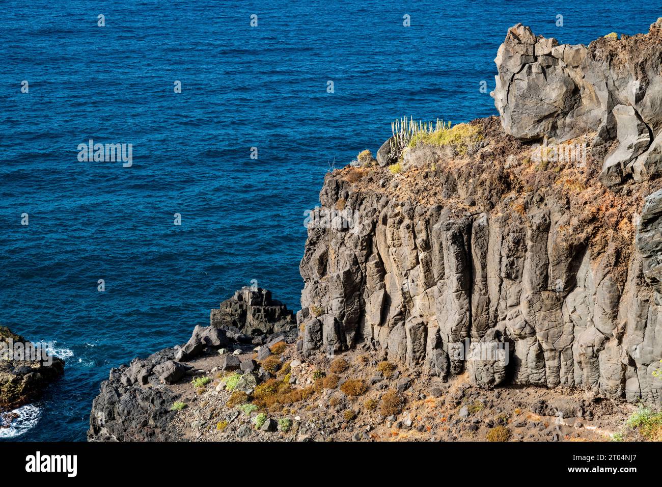 Basalte colonnaire formant la falaise de Rambla de Castro, un chemin de randonnée populaire sur la côte nord de Tenerife, îles Canaries, Espagne Banque D'Images