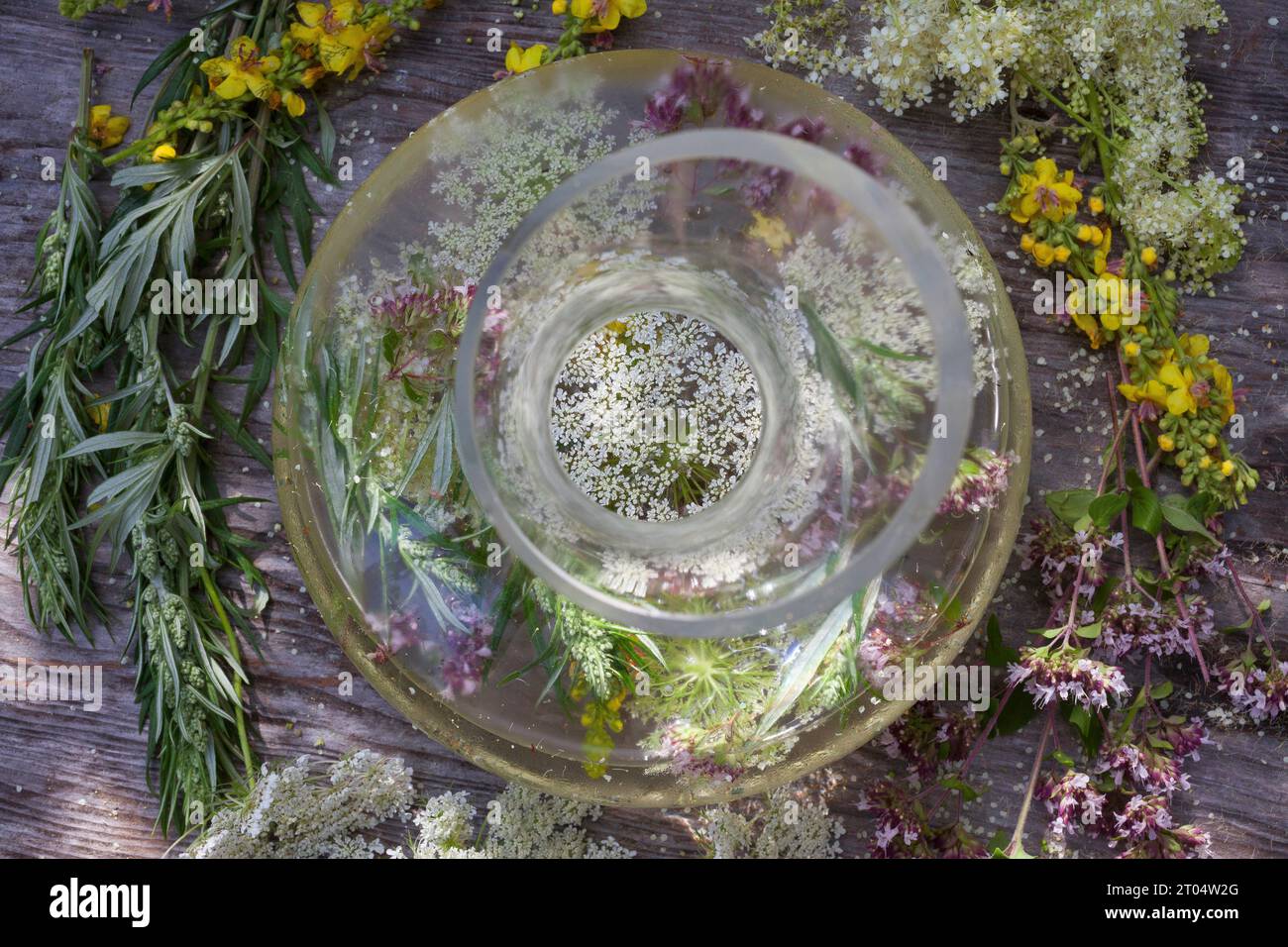Boisson de fleurs sauvages selfmade dans la vigne blanche ou l'eau, Allemagne Banque D'Images