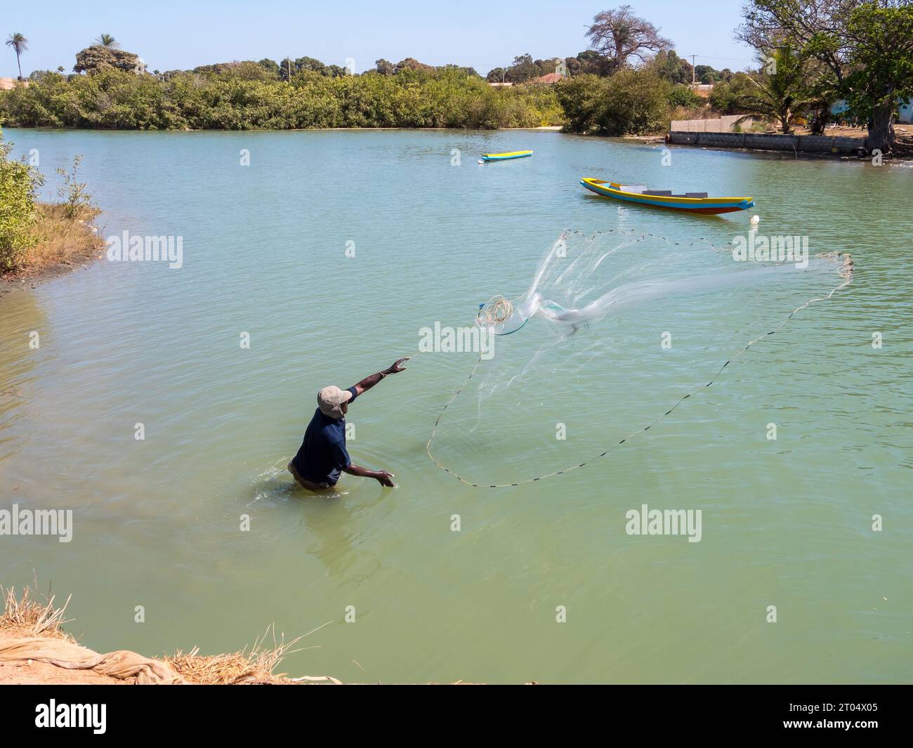 Pêcheur pêchant dans la rivière, jetant un filet de pêche, Gambie Banque D'Images