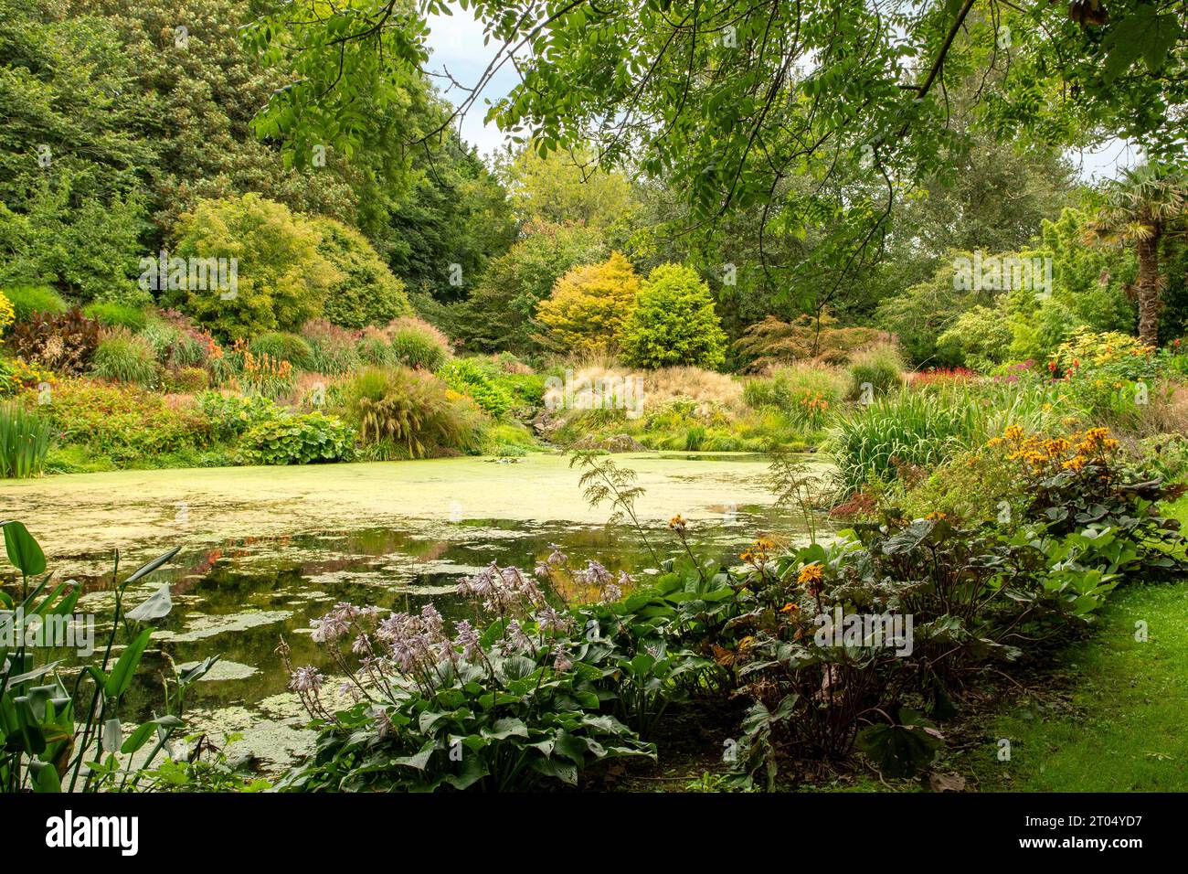 Jardins à Bonython Estate, Helston, Cornouailles, Angleterre Banque D'Images