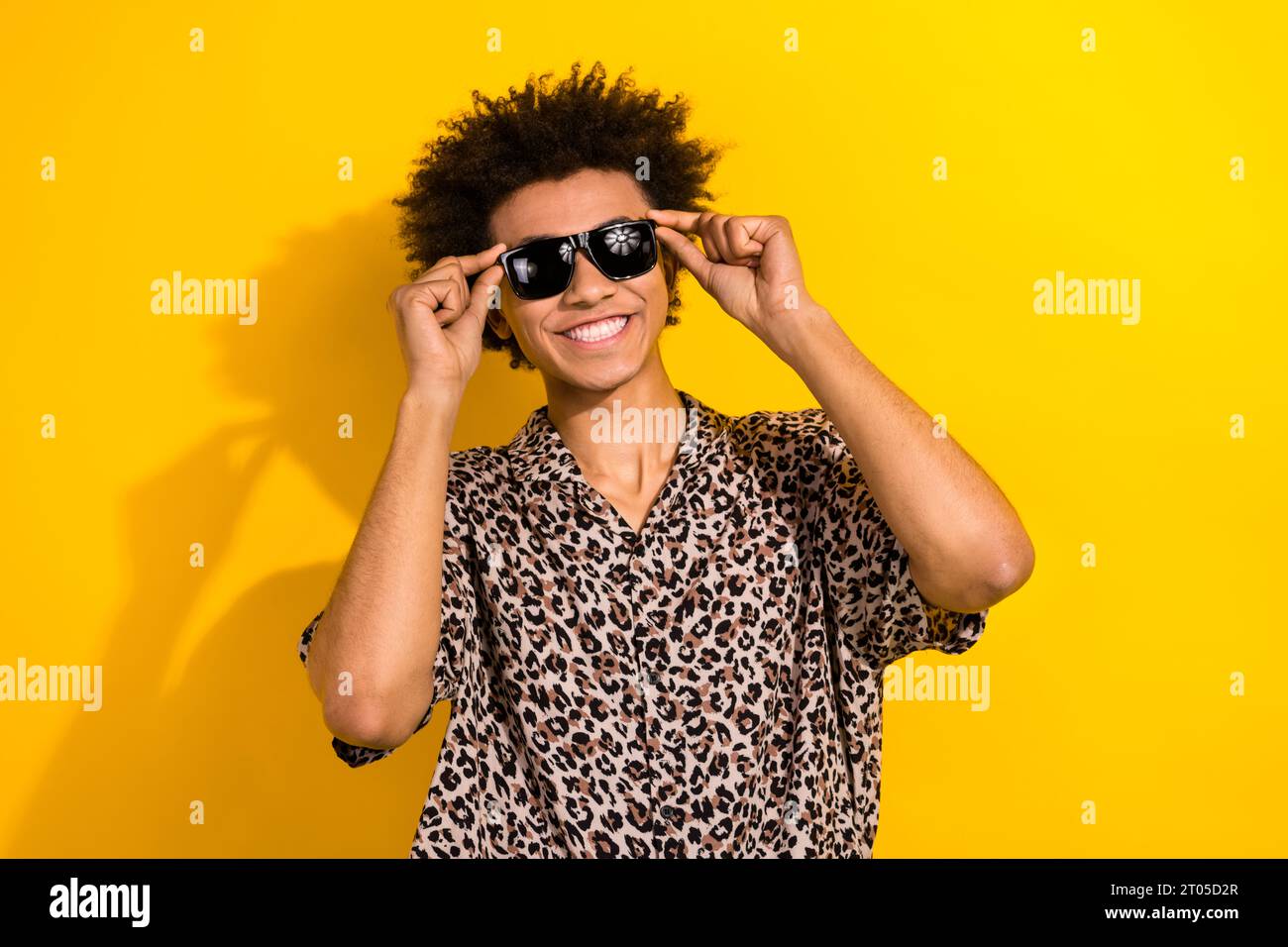 Portrait de belle personne drôle avec chevelure Wear chemise de léopard mains touchant lunettes de soleil souriant isolé sur fond de couleur jaune Banque D'Images