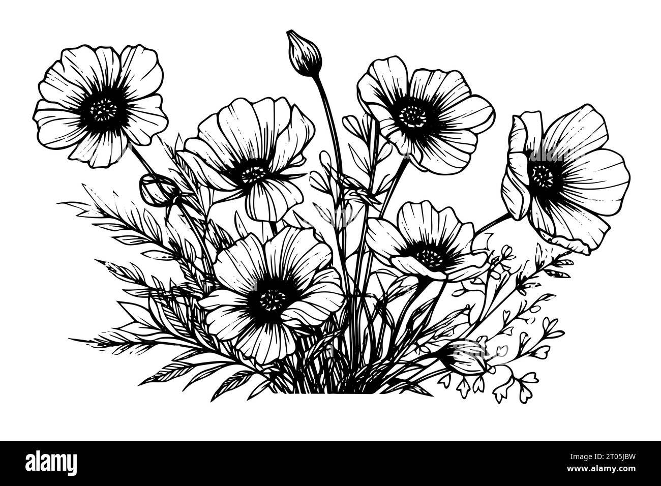 Croquis à l'encre dessiné à la main de fleur sauvage. Illustration vectorielle de style rétro gravée. Illustration de Vecteur