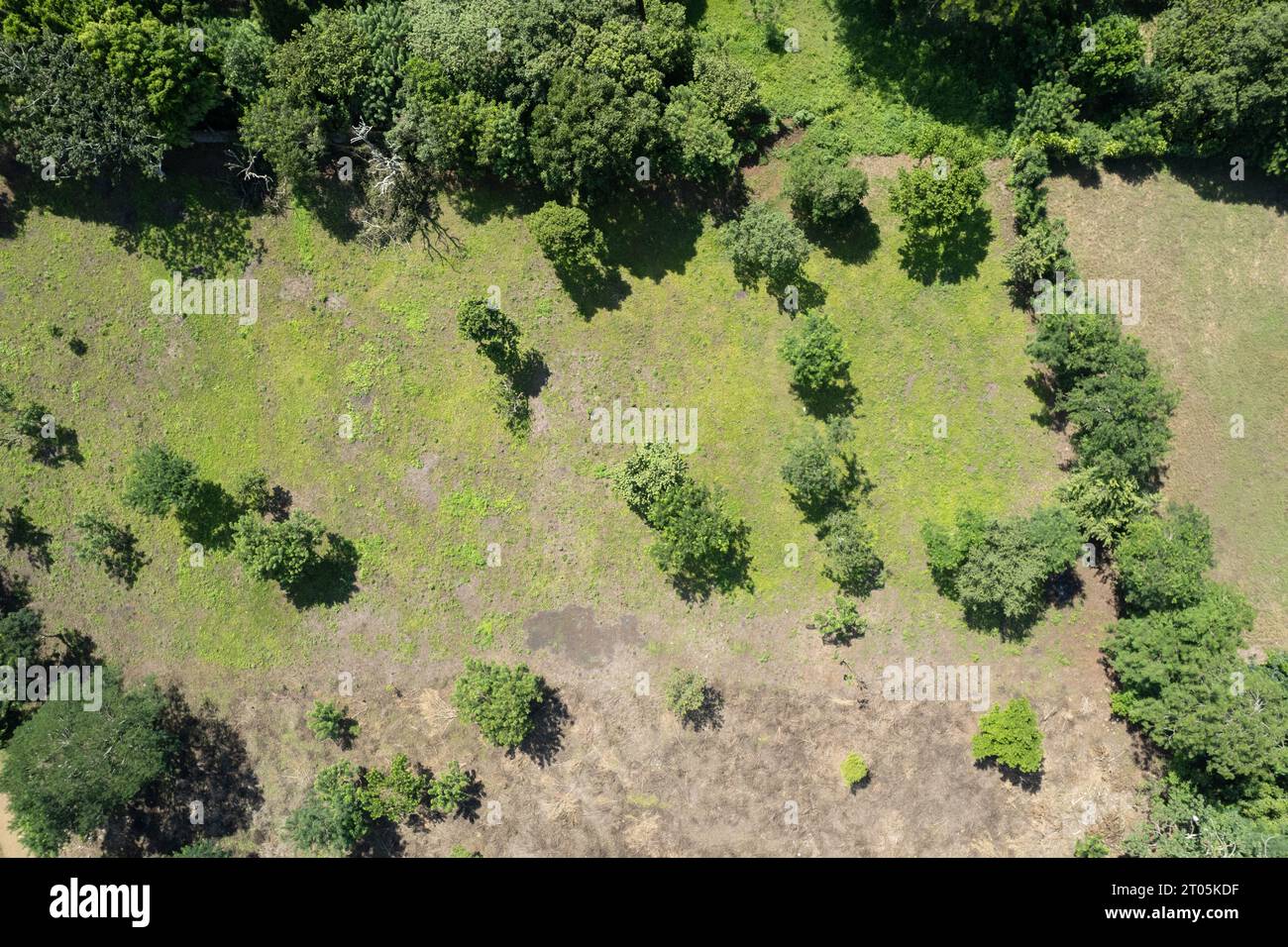 Vue aérienne du drone sur le thème de la déforestation. Ligne entre le sol vert et gris Banque D'Images